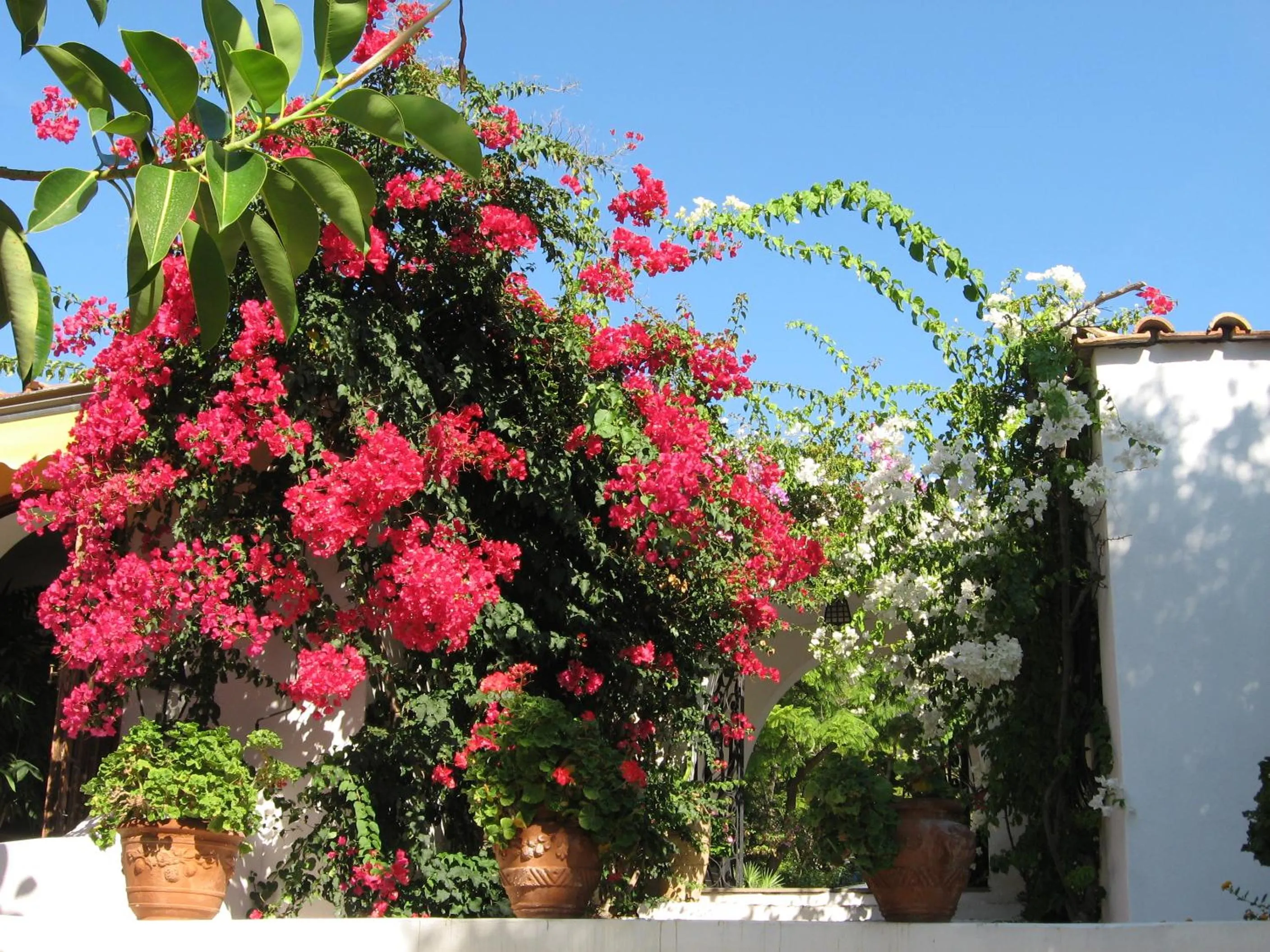 Day in Hotel Punta Rossa