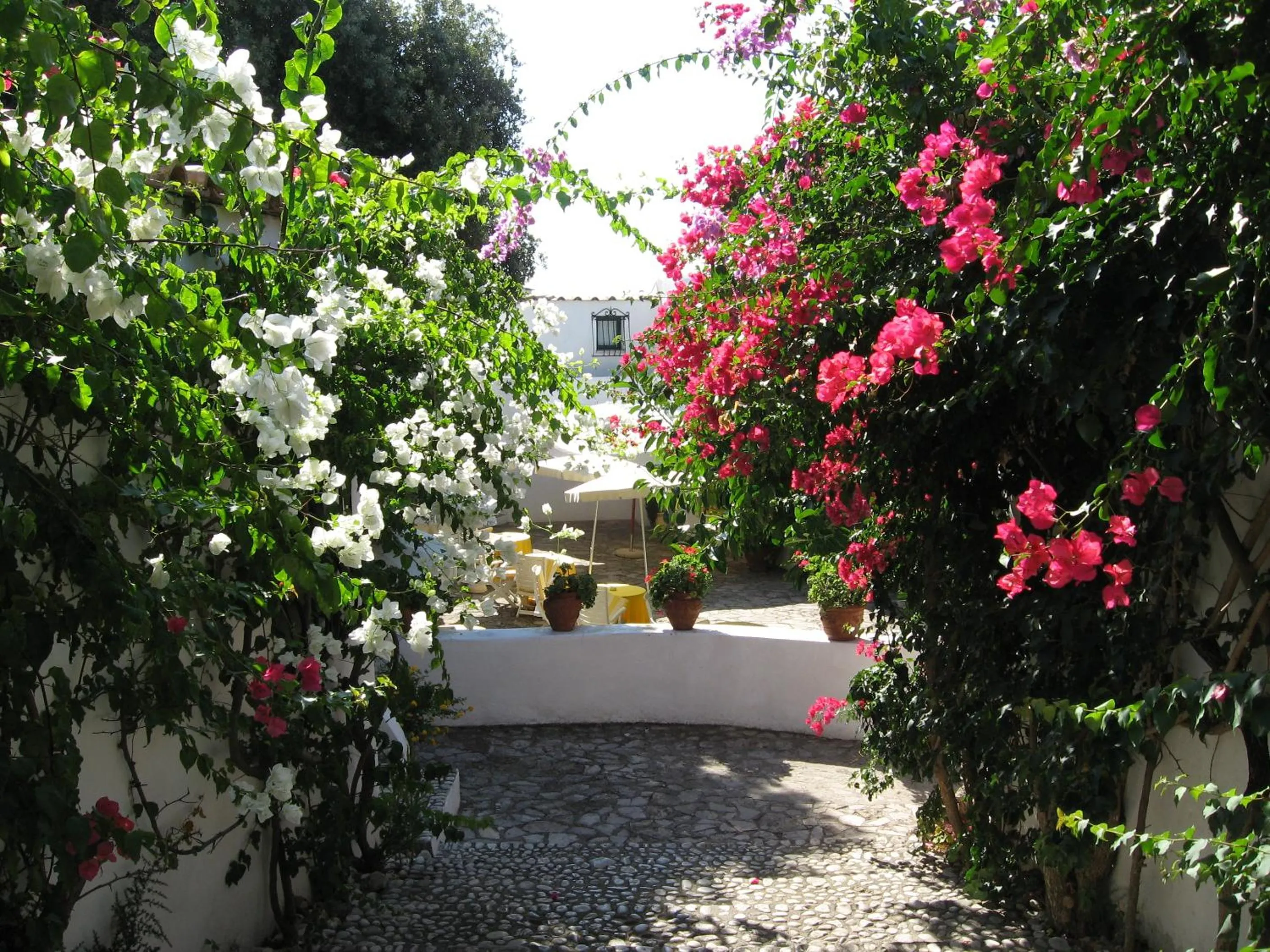 Garden in Hotel Punta Rossa