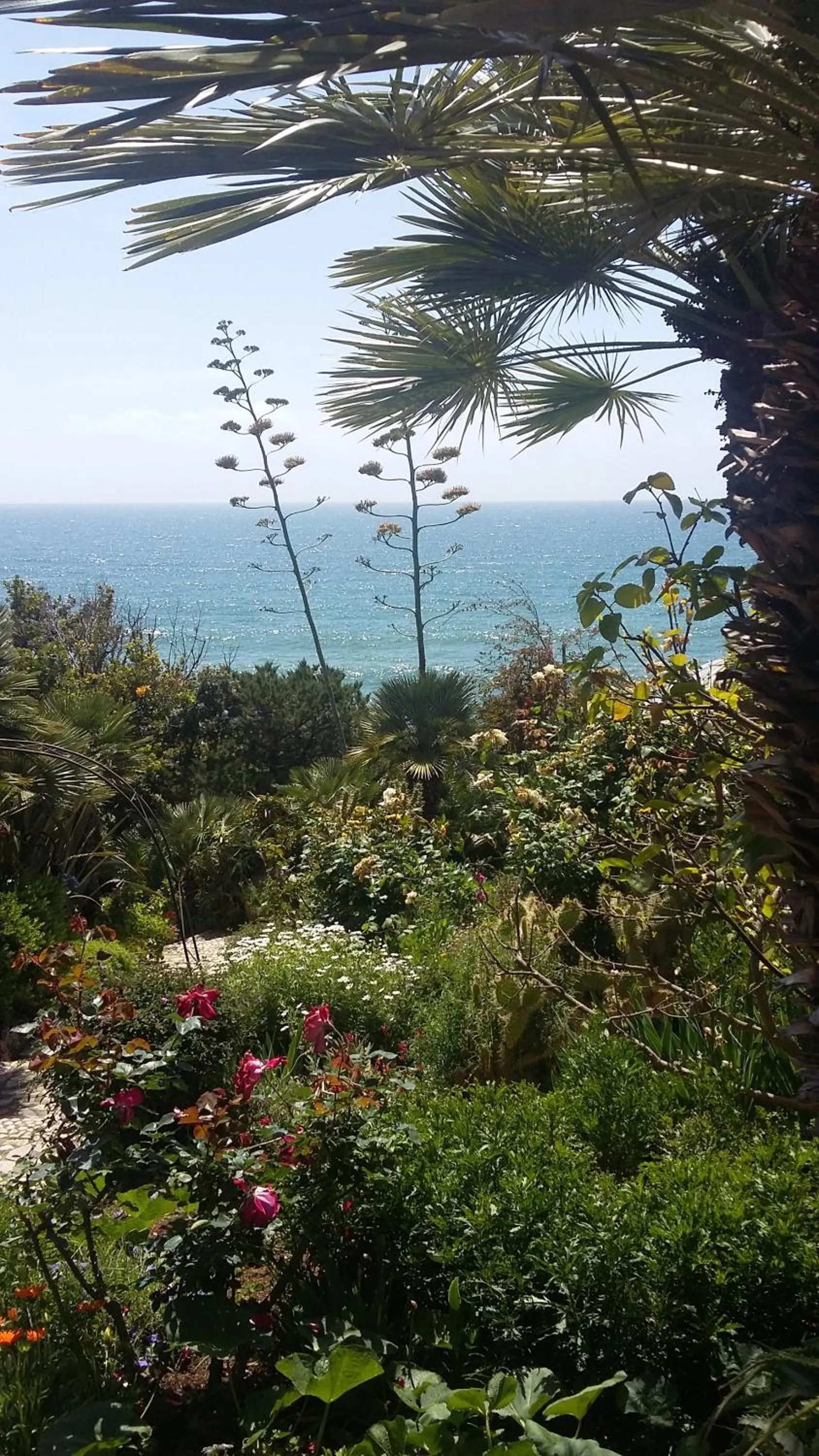 Garden in Hotel Punta Rossa