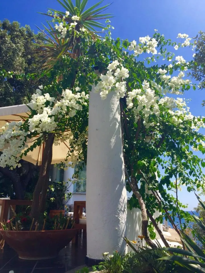 Decorative detail in Hotel Punta Rossa