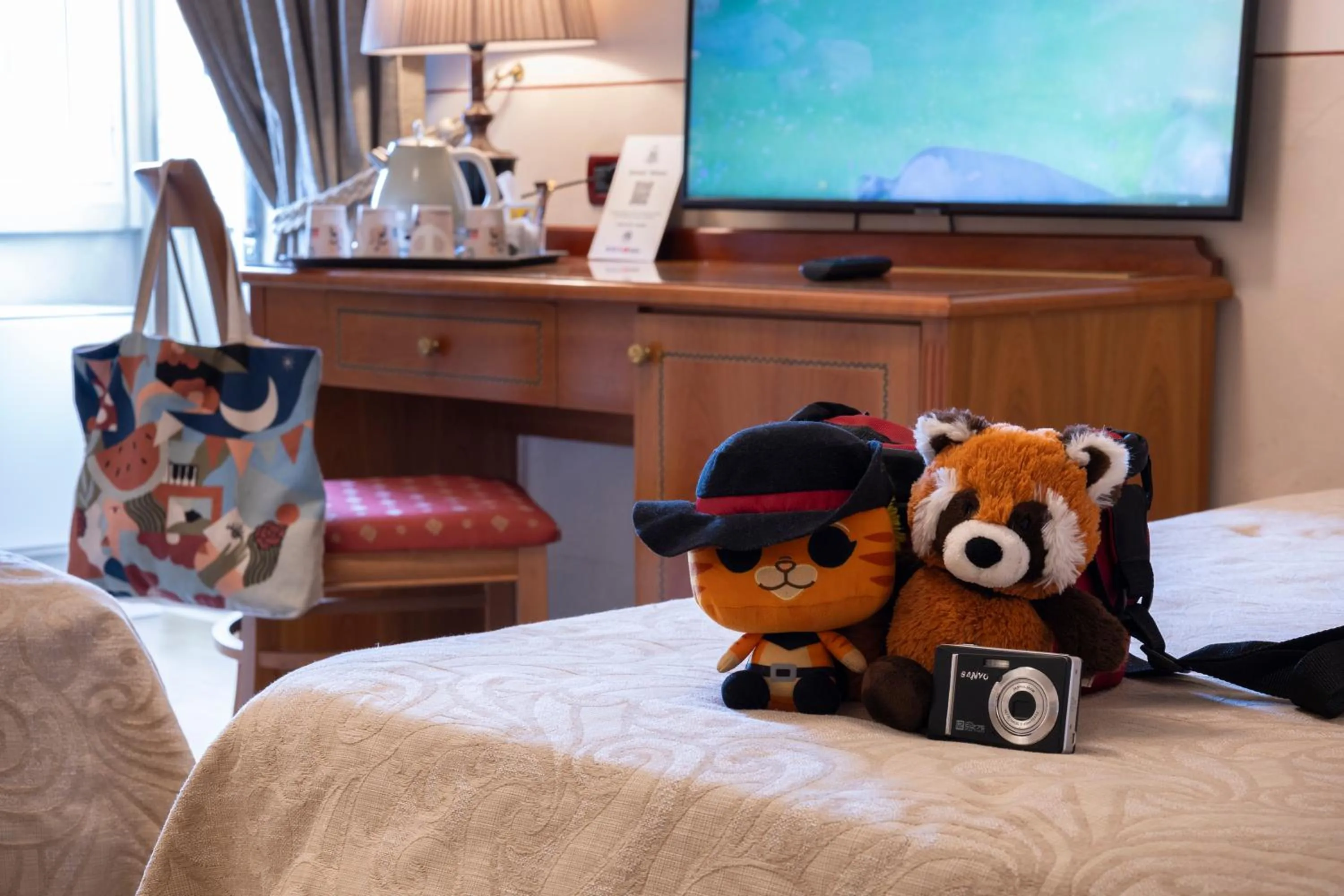 TV and multimedia in Hotel Ambasciatori