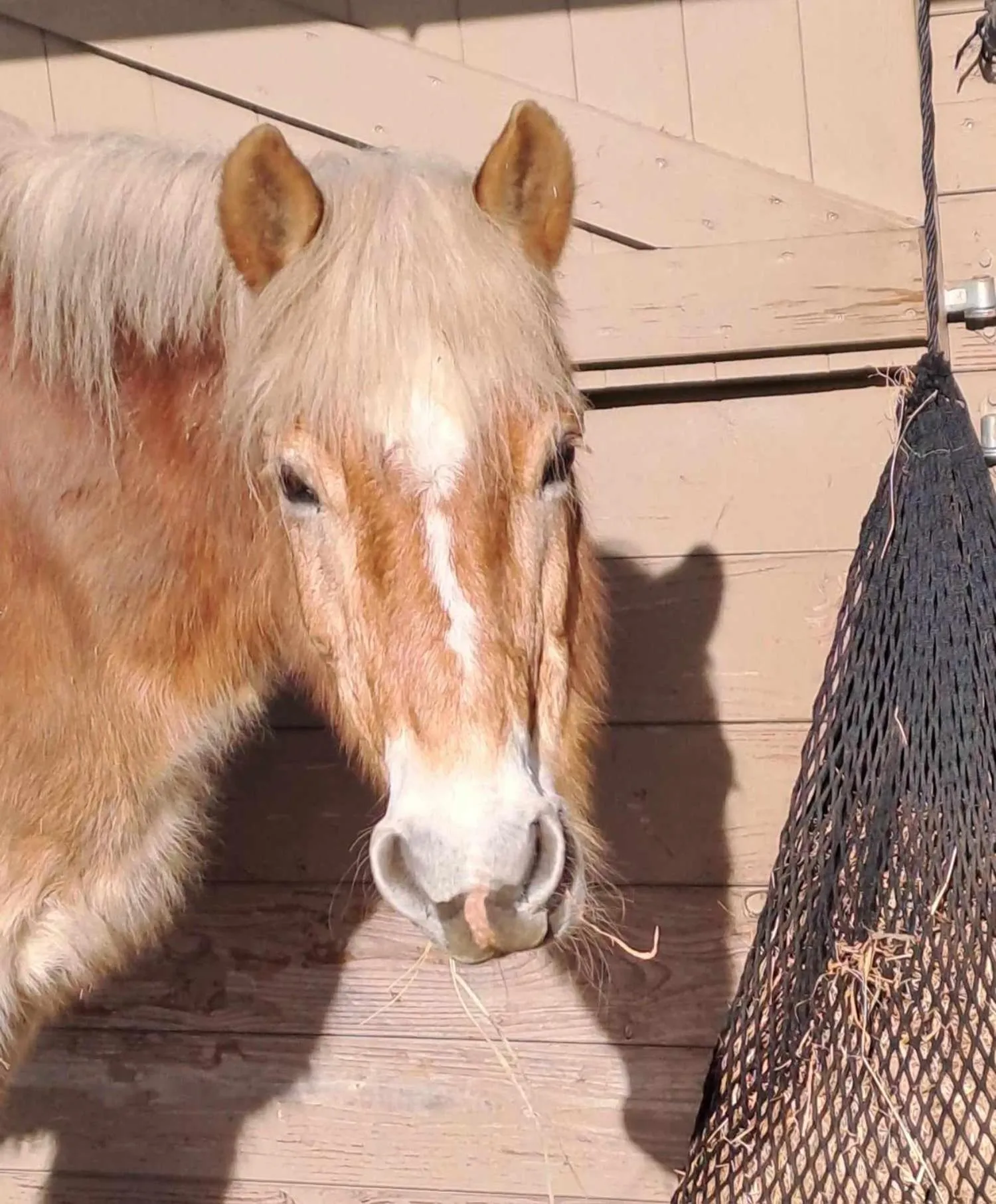 View (from property/room) in B&B 't Hannonshof