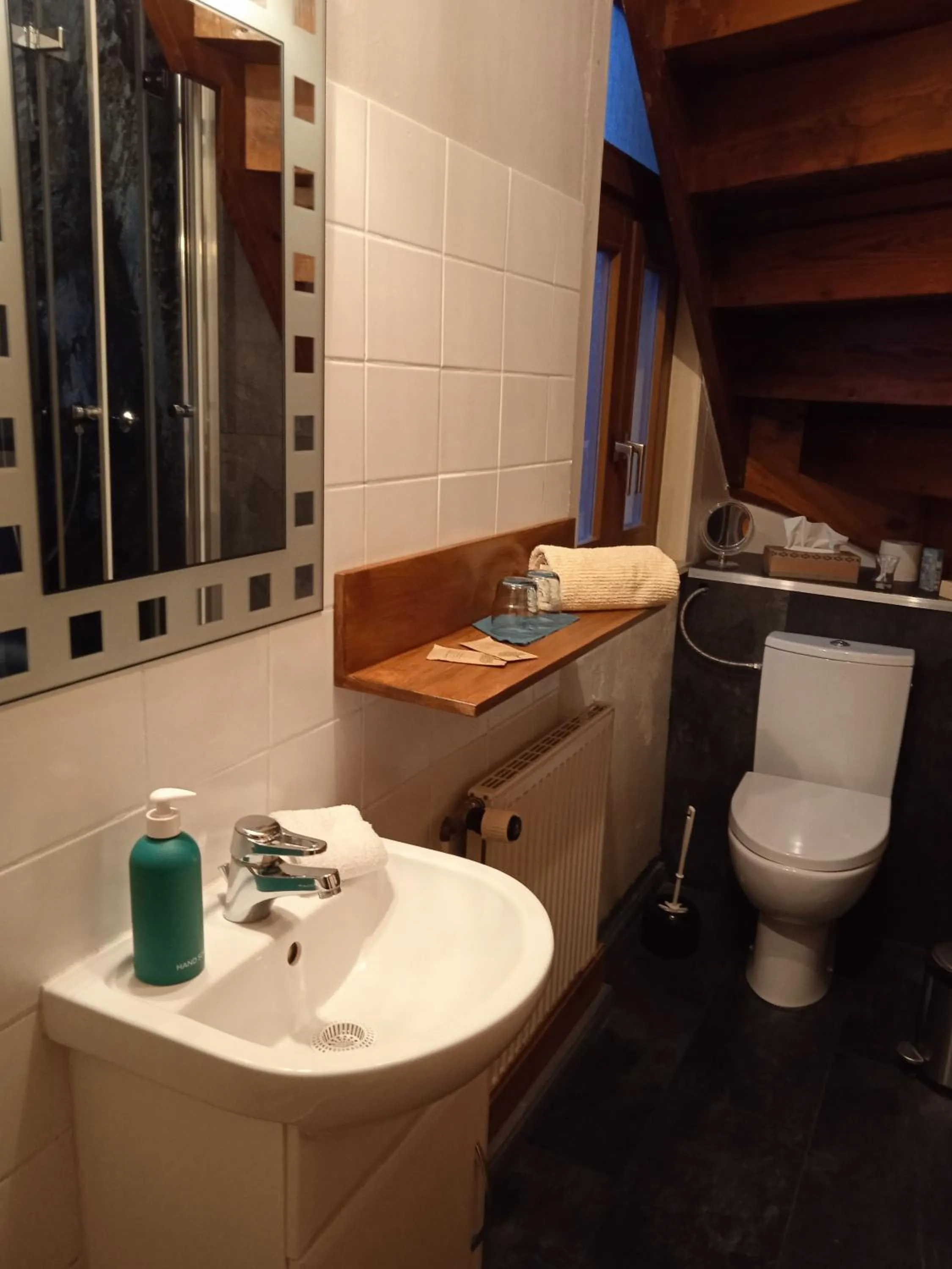 Bathroom in Zum Ginkgobaum