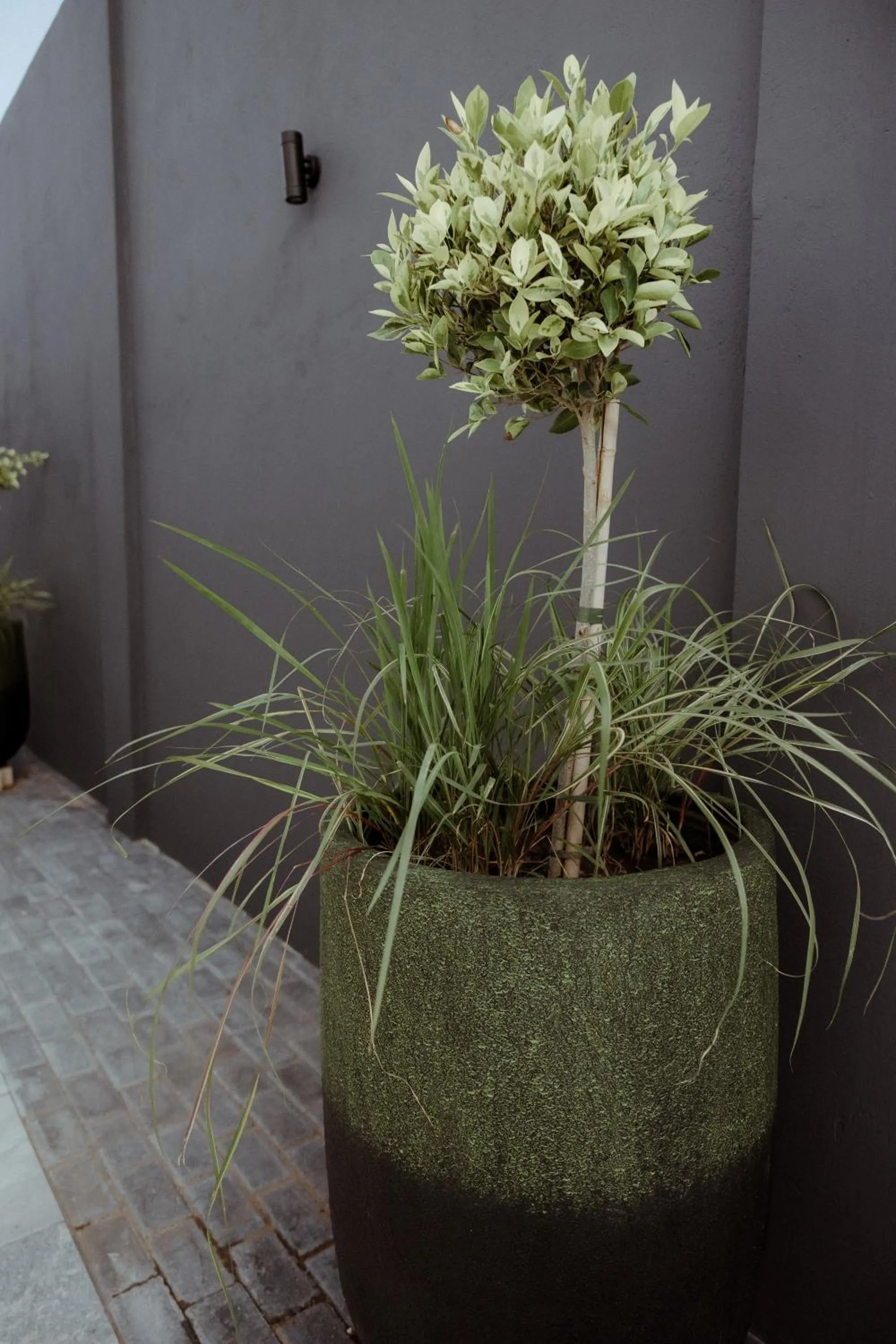 Out of Africa Town Lodge