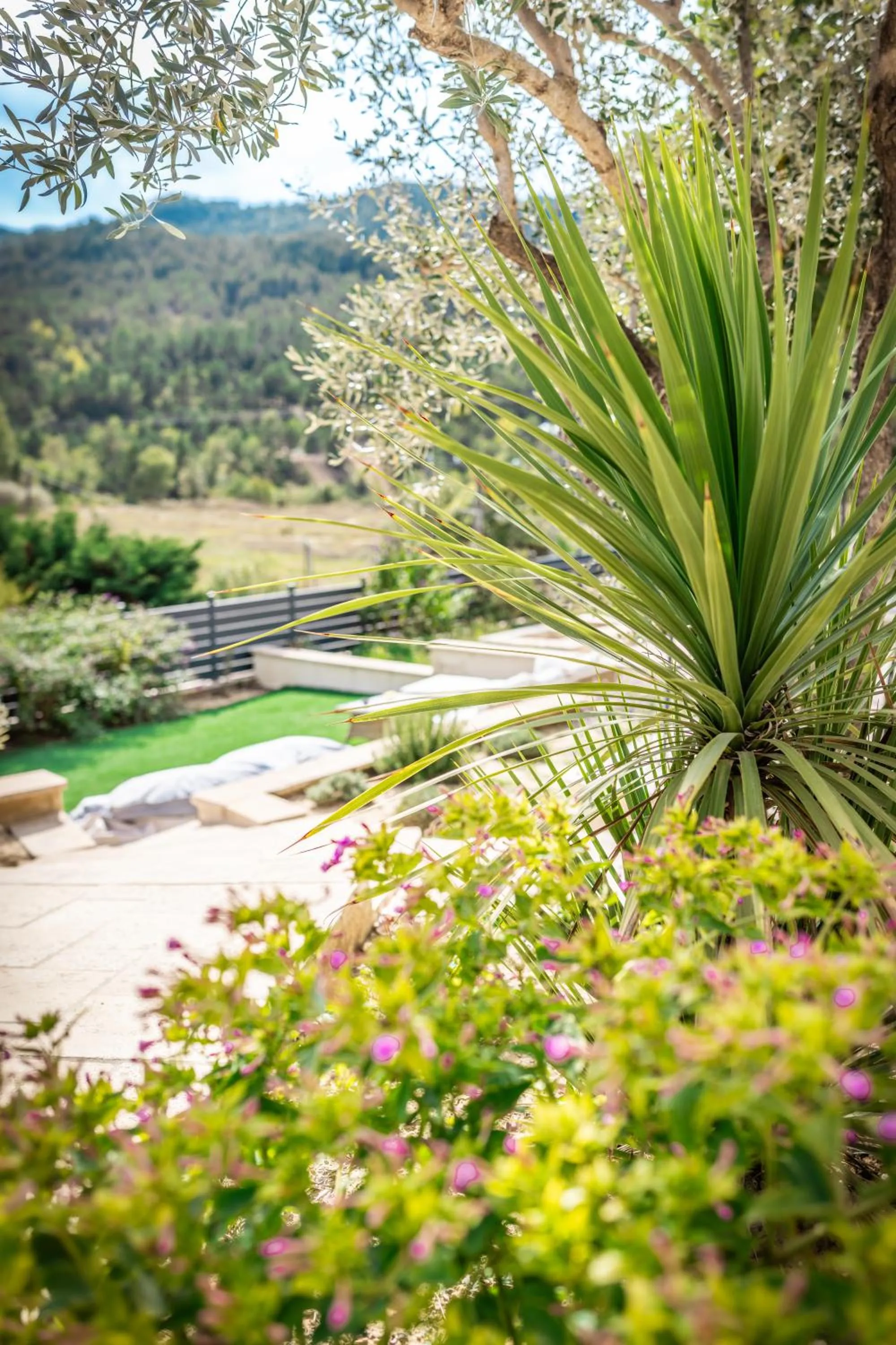 Garden in Domaine de Prefaissal