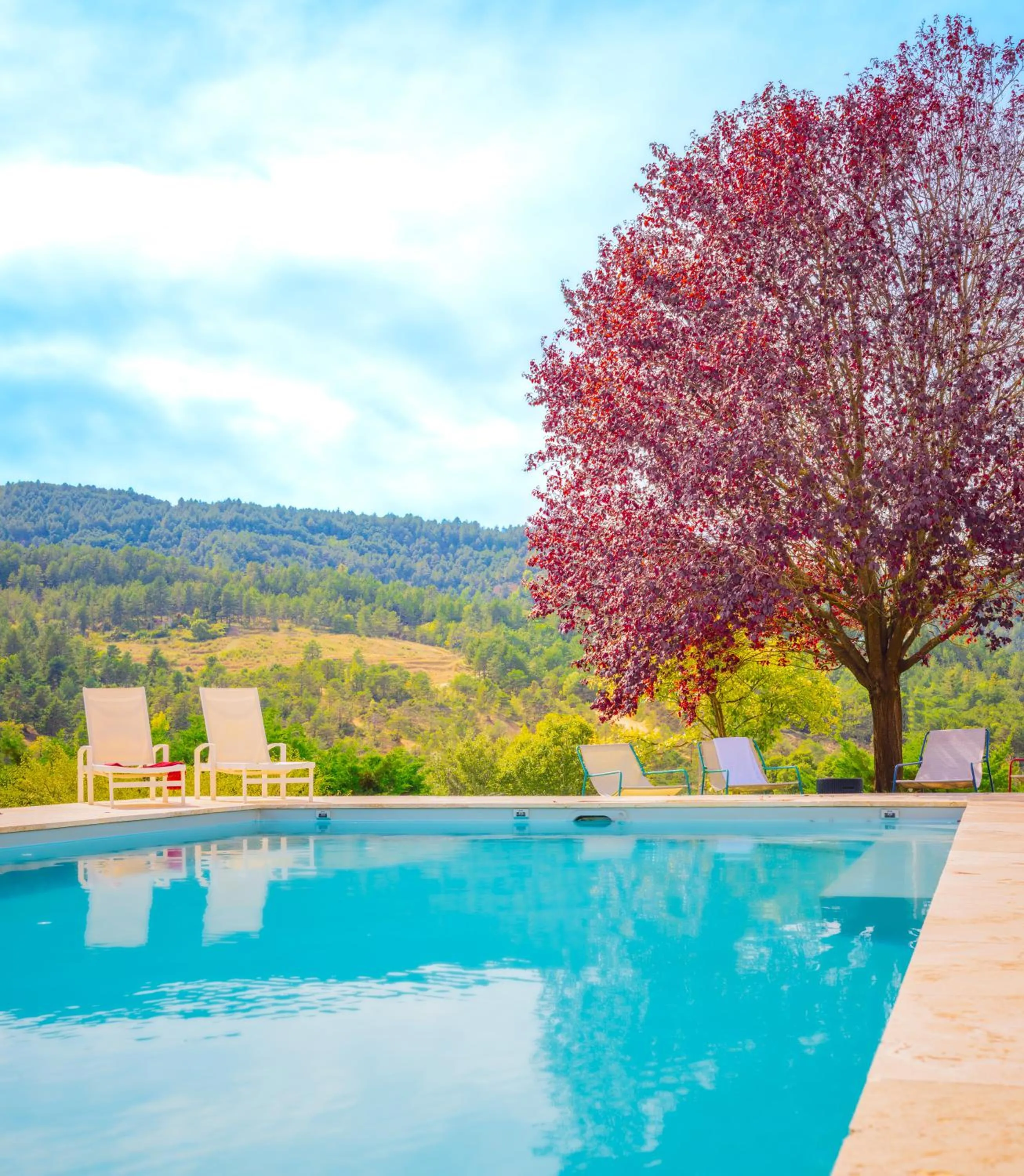 Swimming pool in Domaine de Prefaissal
