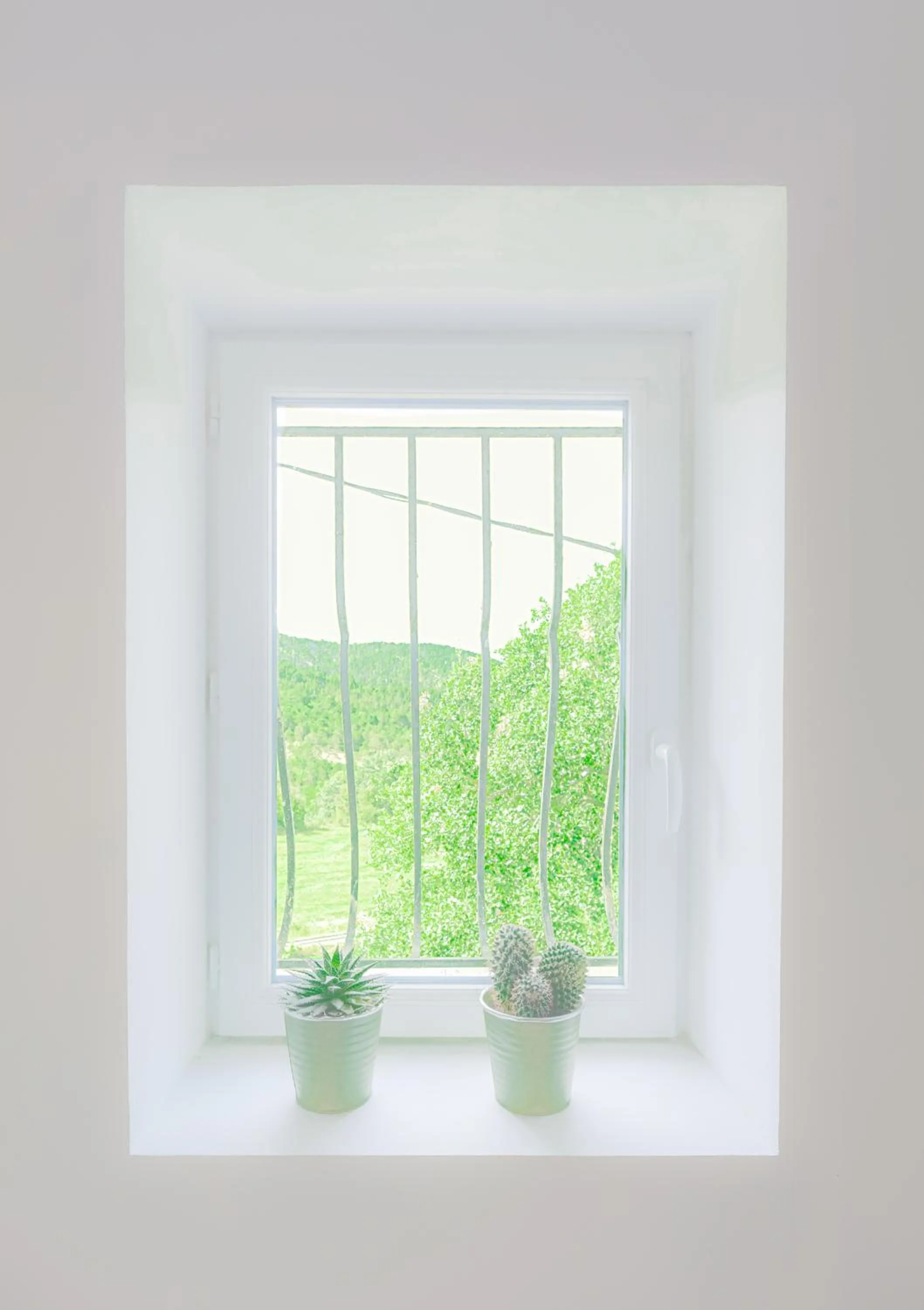 View (from property/room) in Domaine de Prefaissal