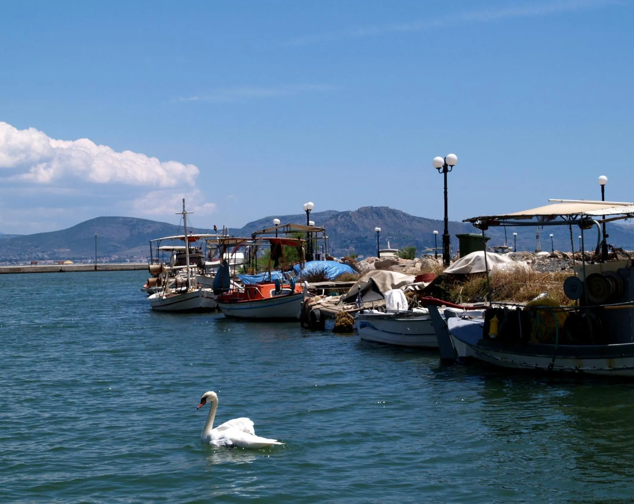 Natural landscape in Argo Apartments near Nafplio