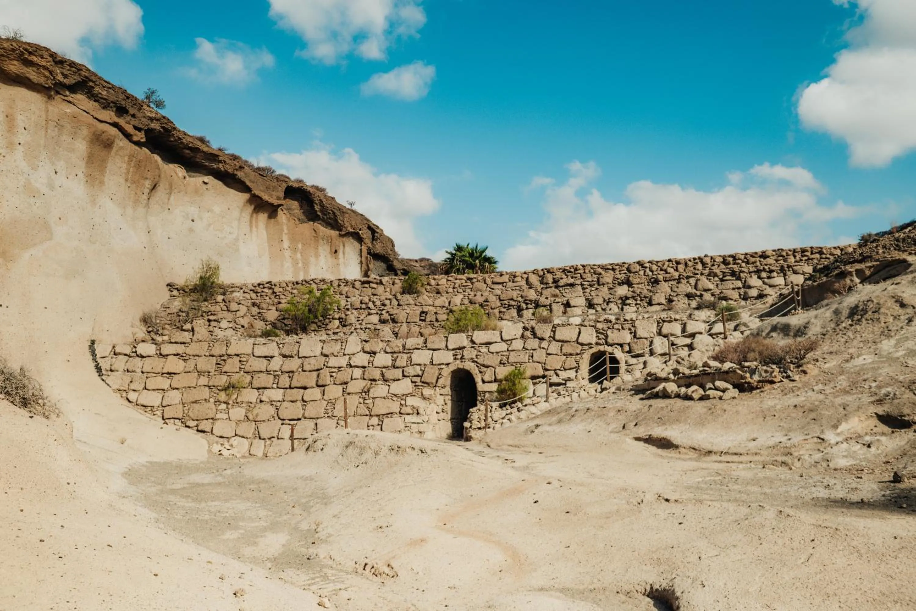 Natural landscape in Barceló Tenerife