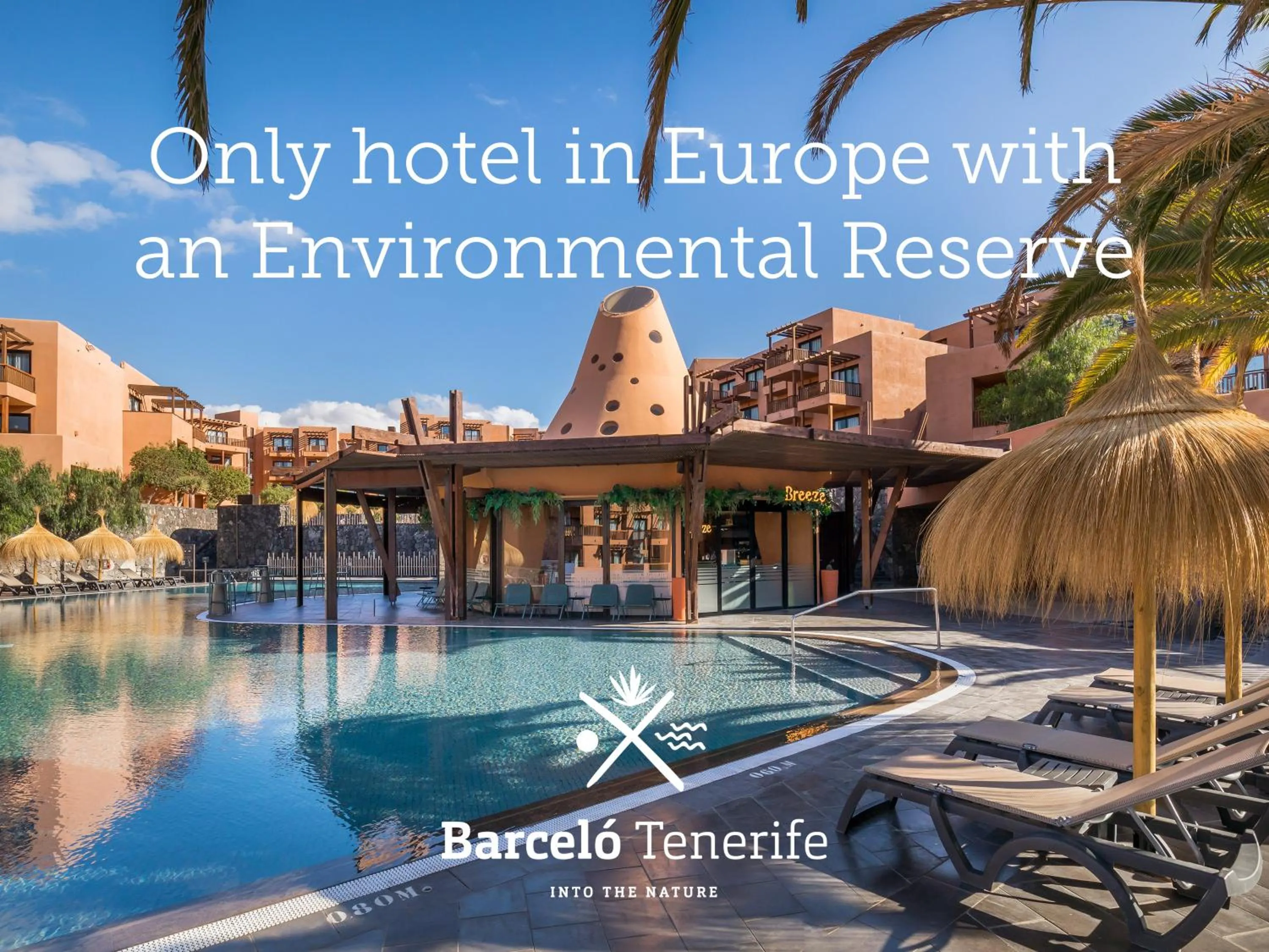 Swimming pool in Barceló Tenerife