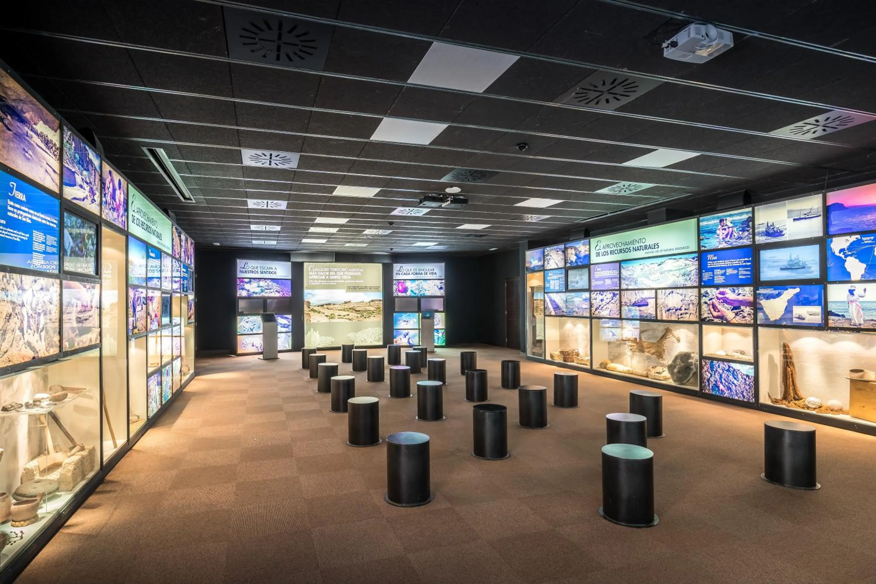 Entertainment in Barceló Tenerife