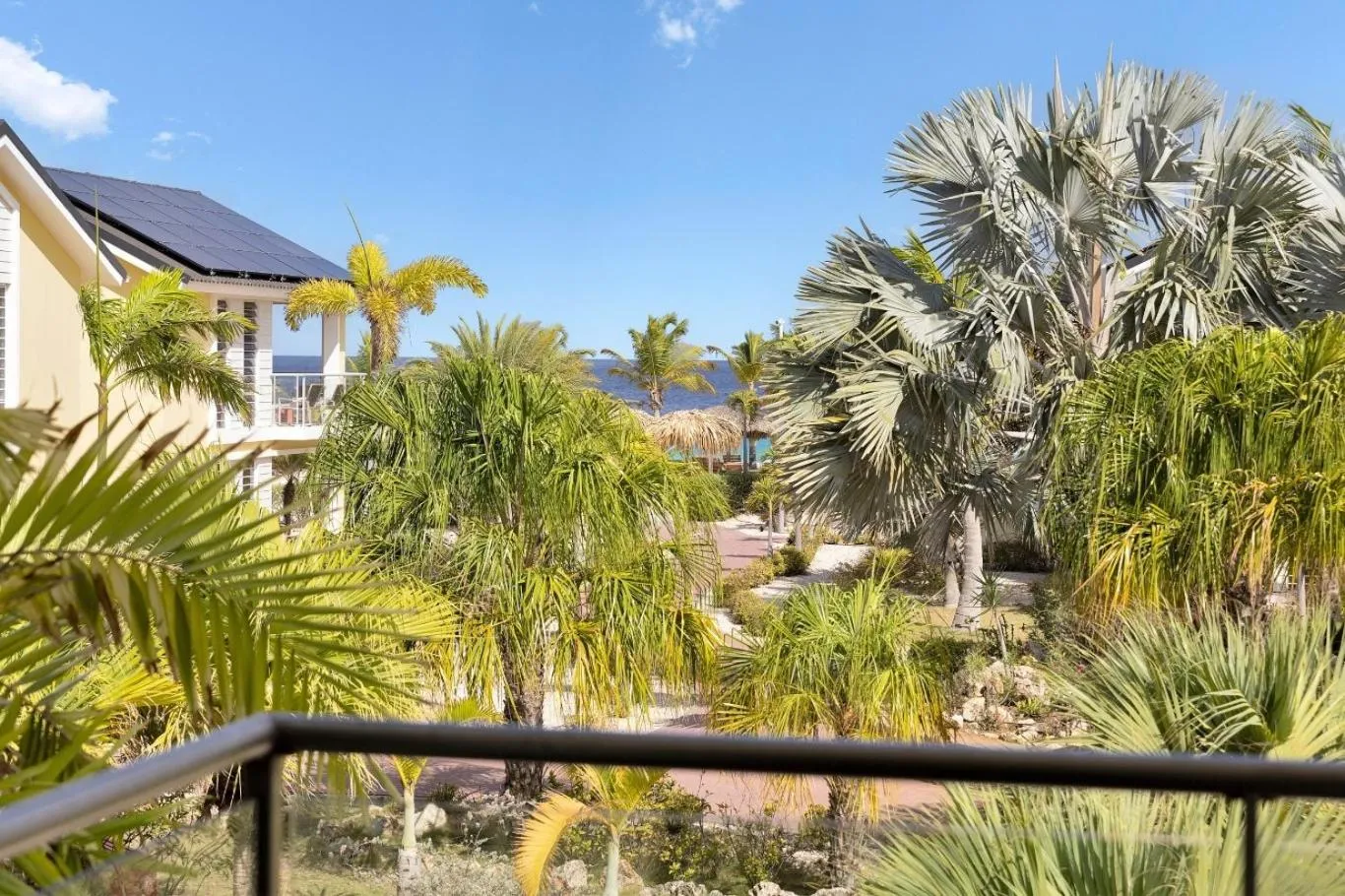 Garden in Delfins Beach Resort Bonaire, Tapestry Collection by Hilton