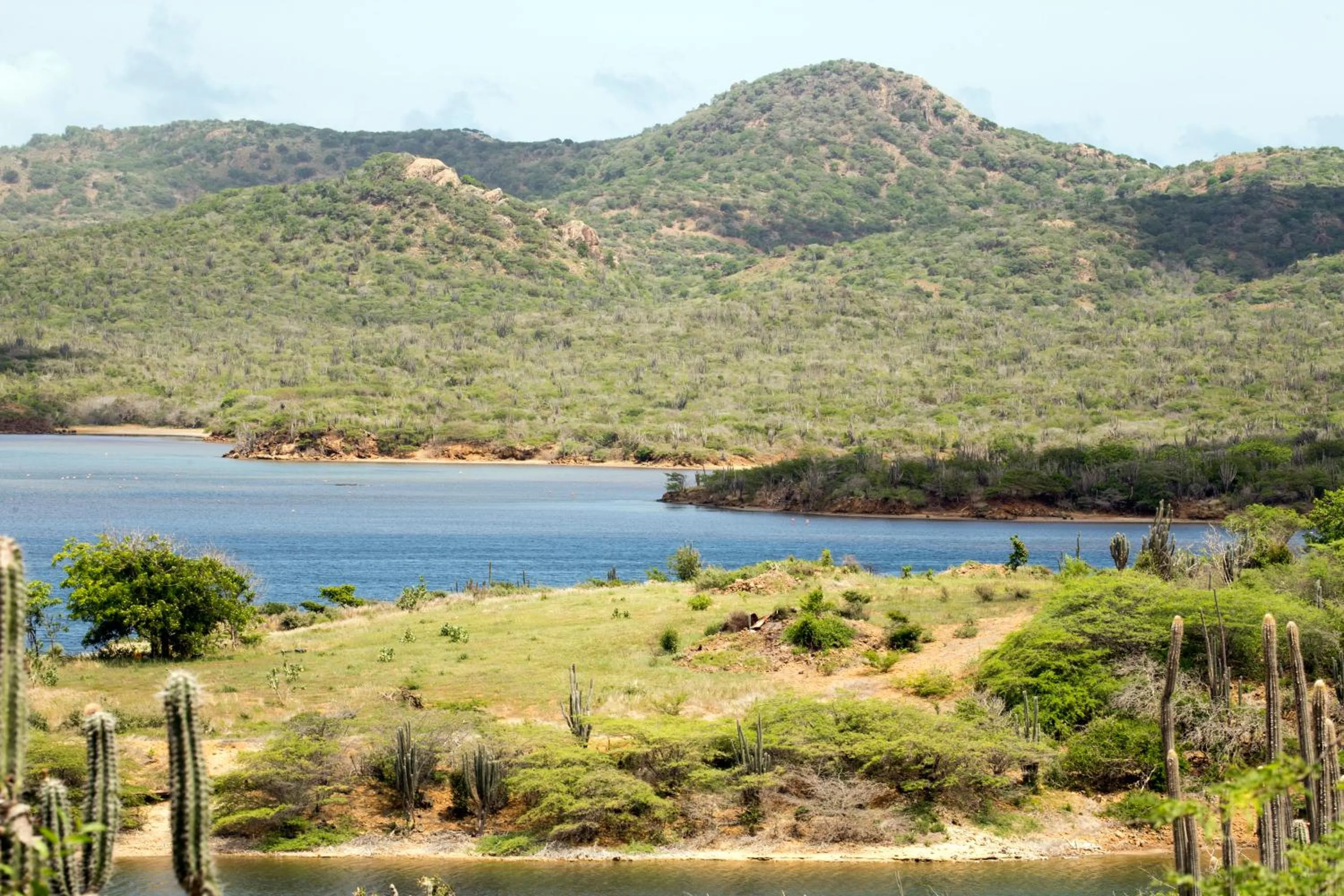 Natural landscape in Delfins Beach Resort Bonaire, Tapestry Collection by Hilton