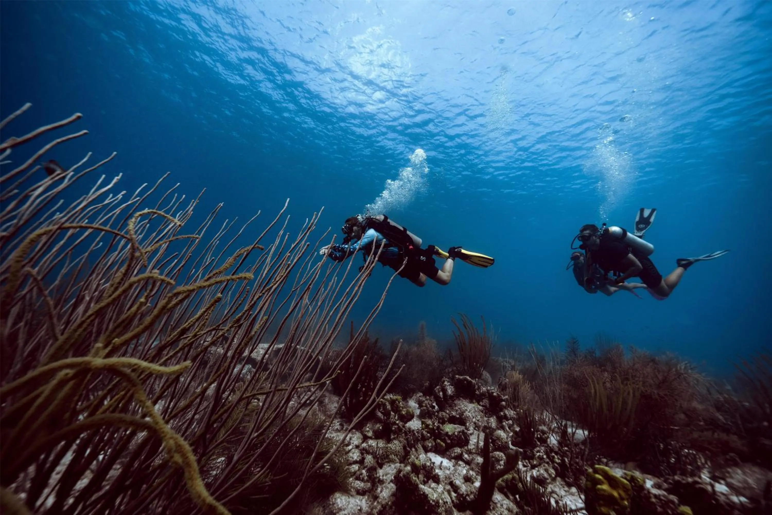 Property building in Delfins Beach Resort Bonaire, Tapestry Collection by Hilton