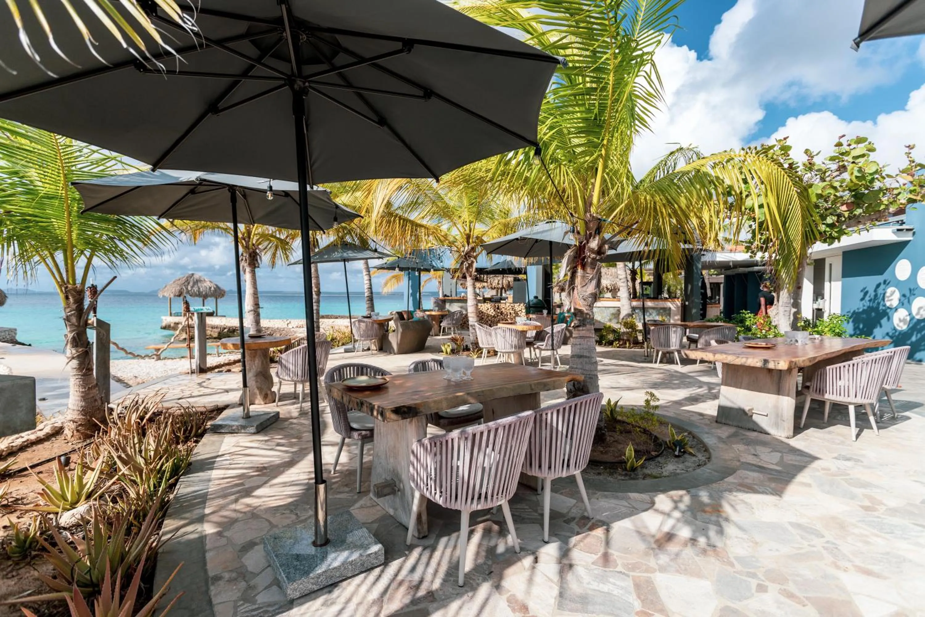 Restaurant/places to eat in Delfins Beach Resort Bonaire, Tapestry Collection by Hilton