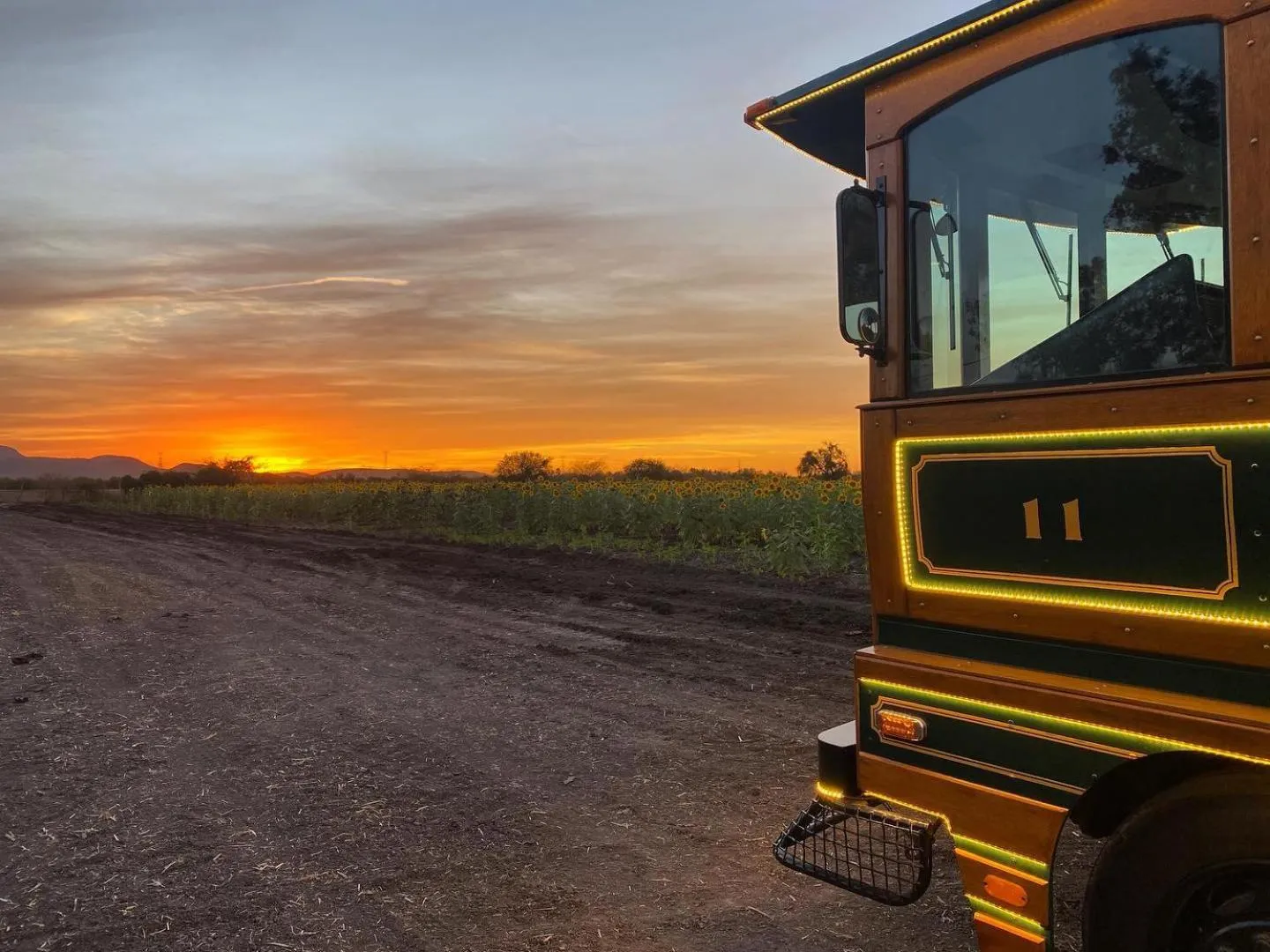 Natural landscape in Punto Madero Hotel & Plaza