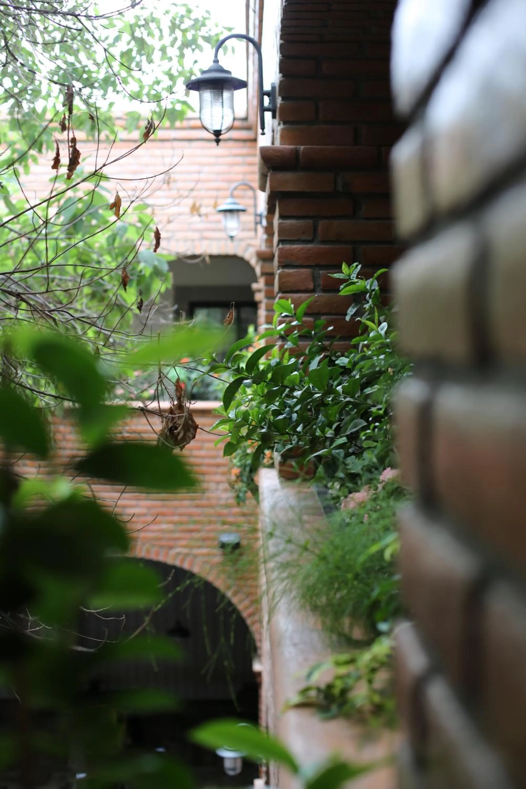 Garden view in Punto Madero Hotel & Plaza