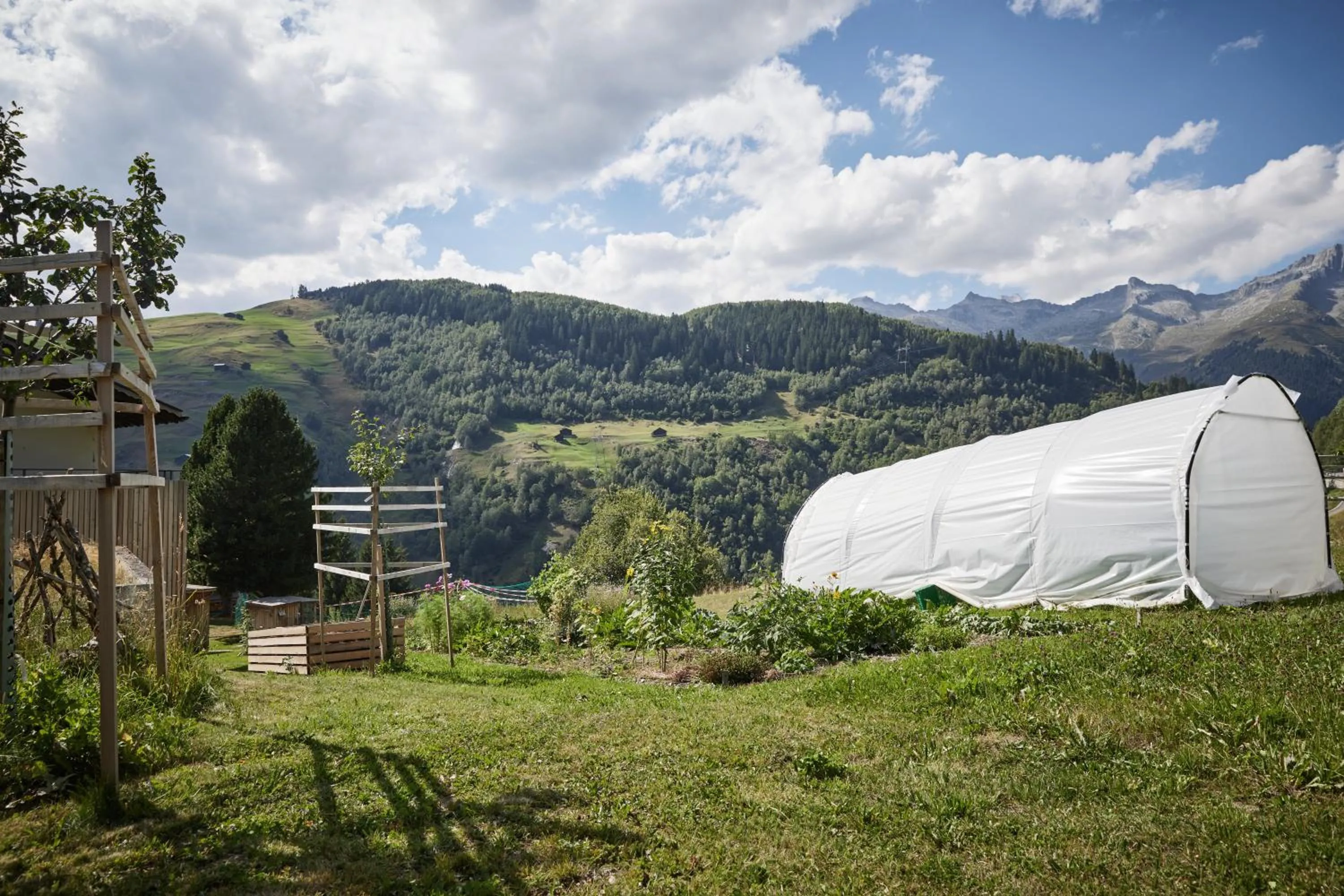 Garden in medelina