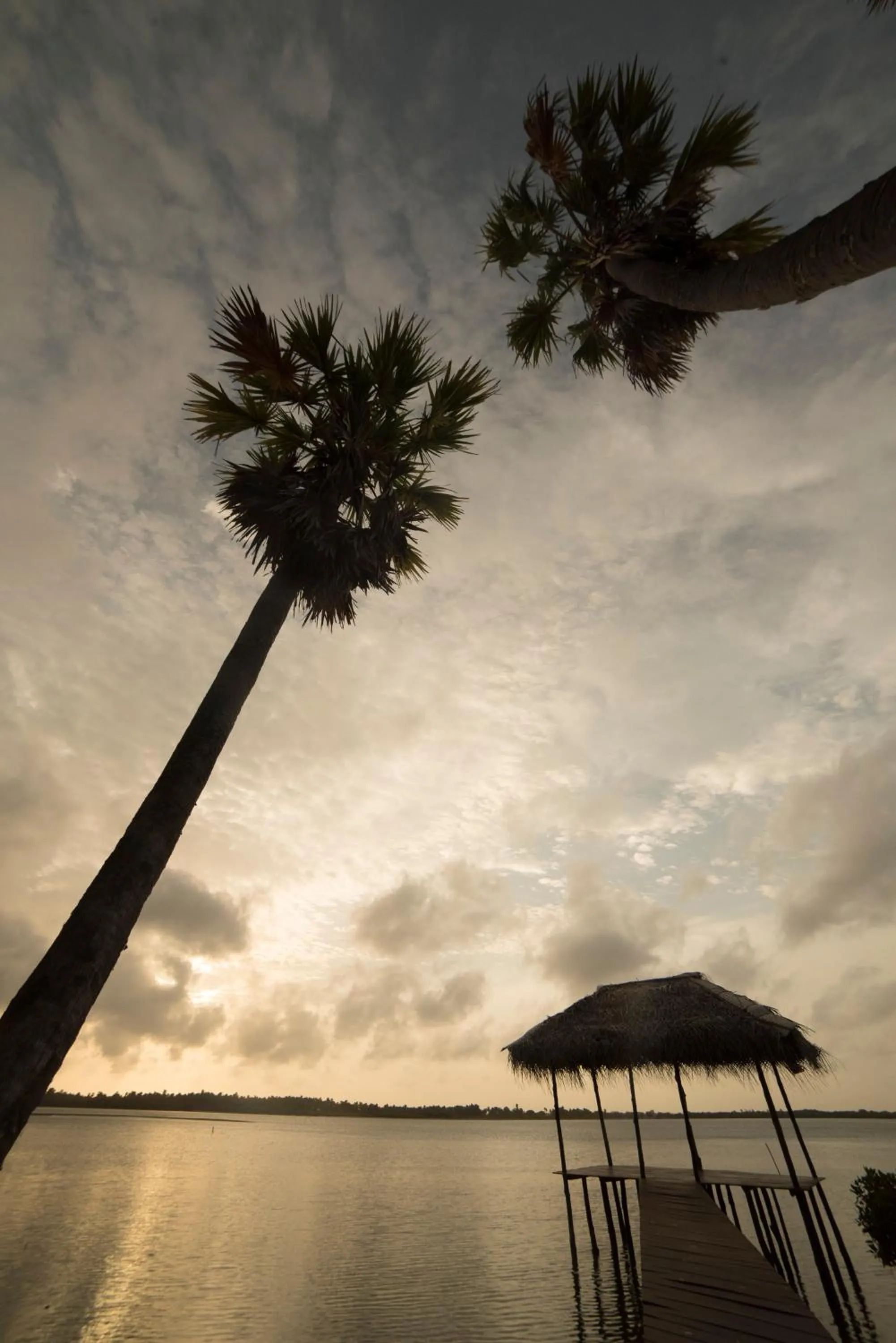 Property building in Anawasal