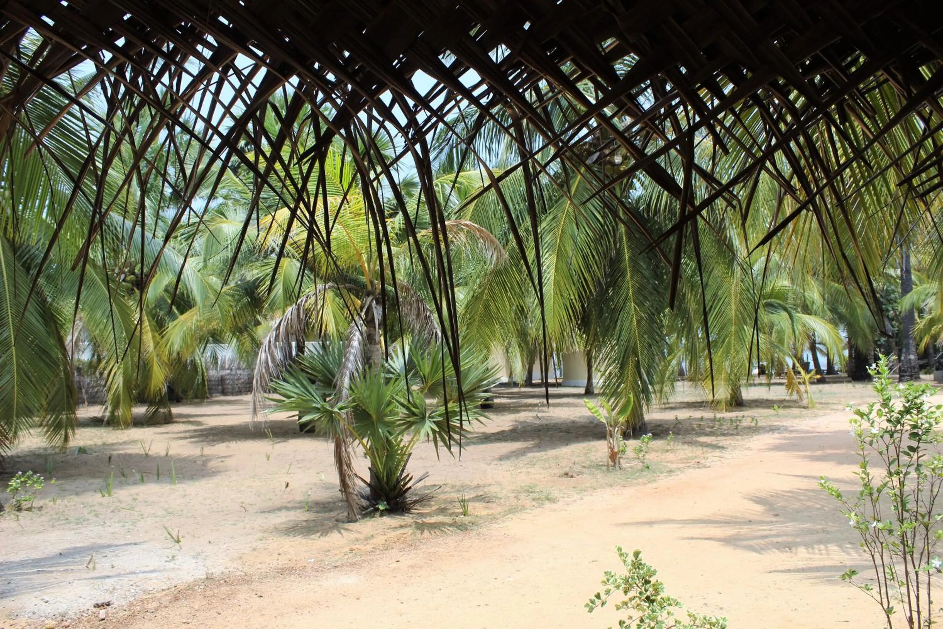 Inner courtyard view in Anawasal