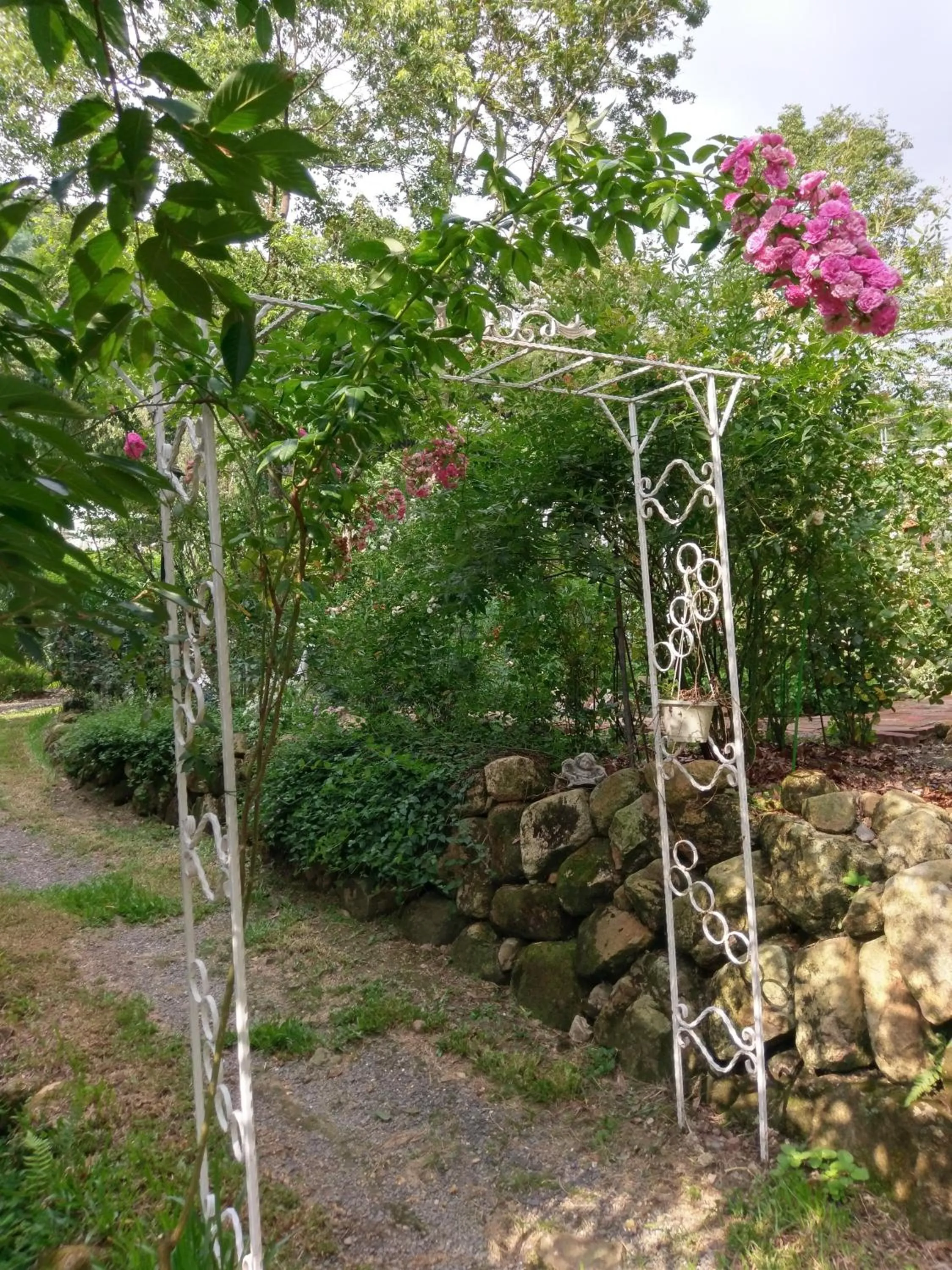 Garden in Bramasole B&B