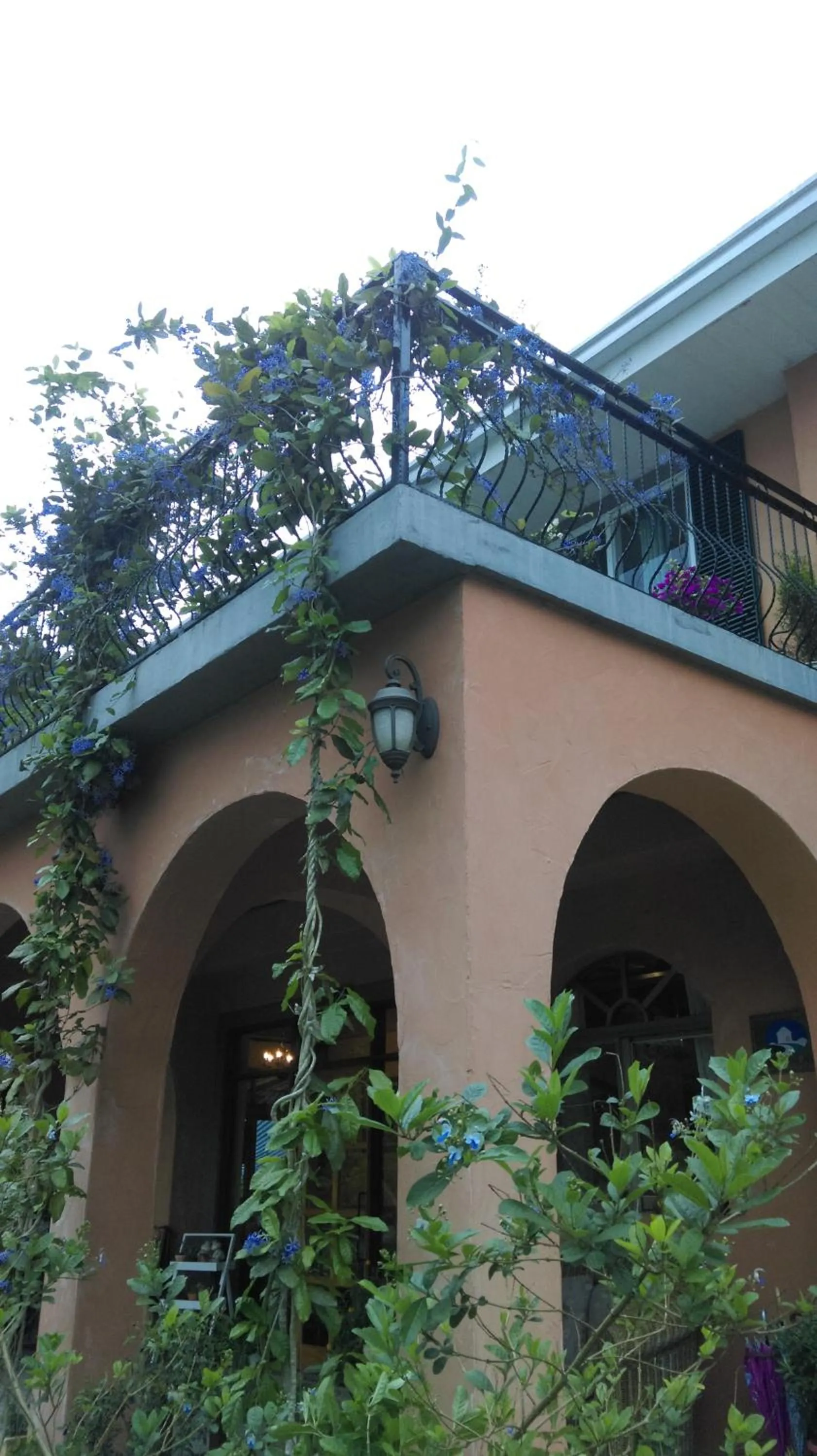 Balcony/Terrace in Bramasole B&B