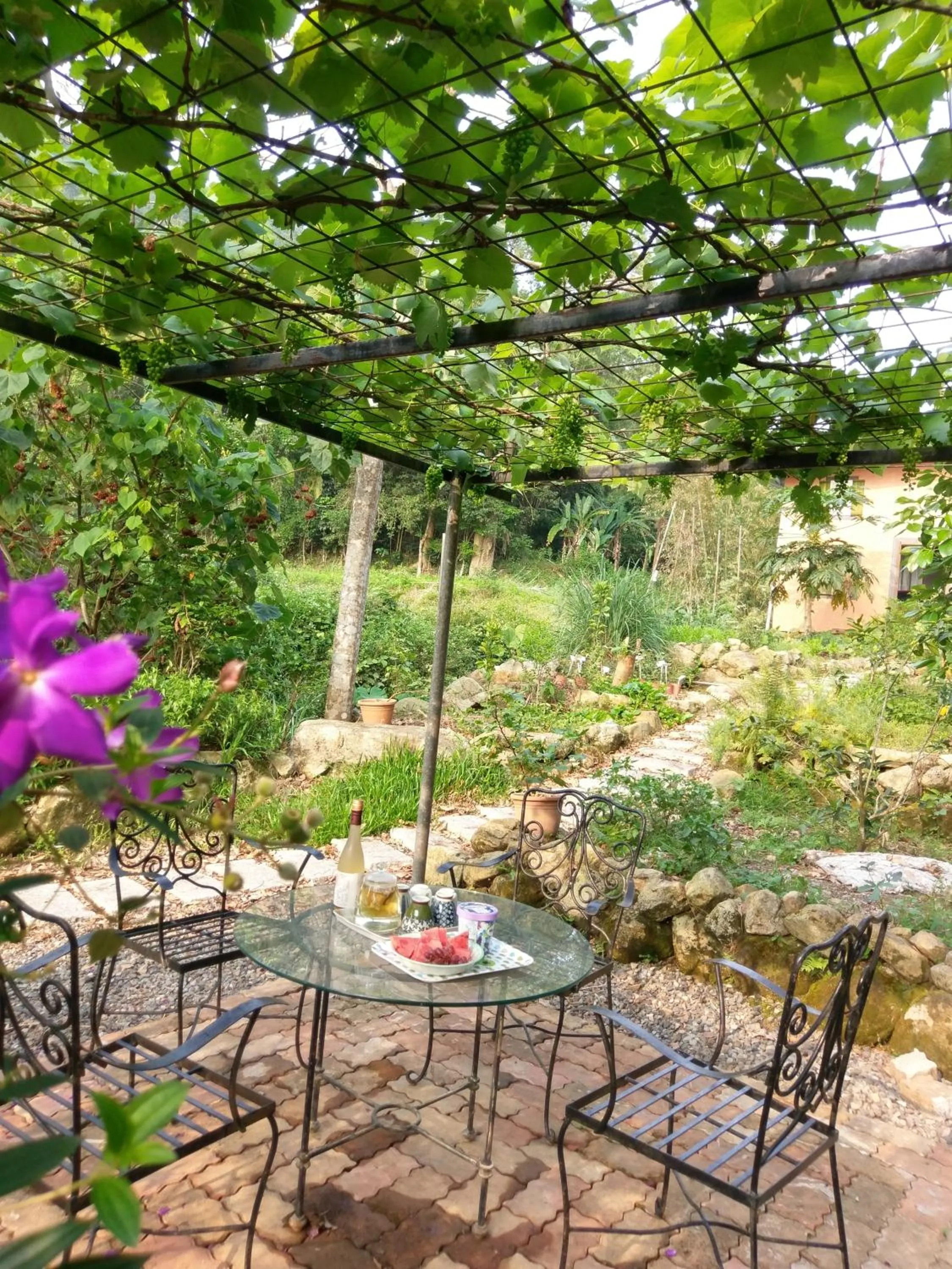 Patio in Bramasole B&B