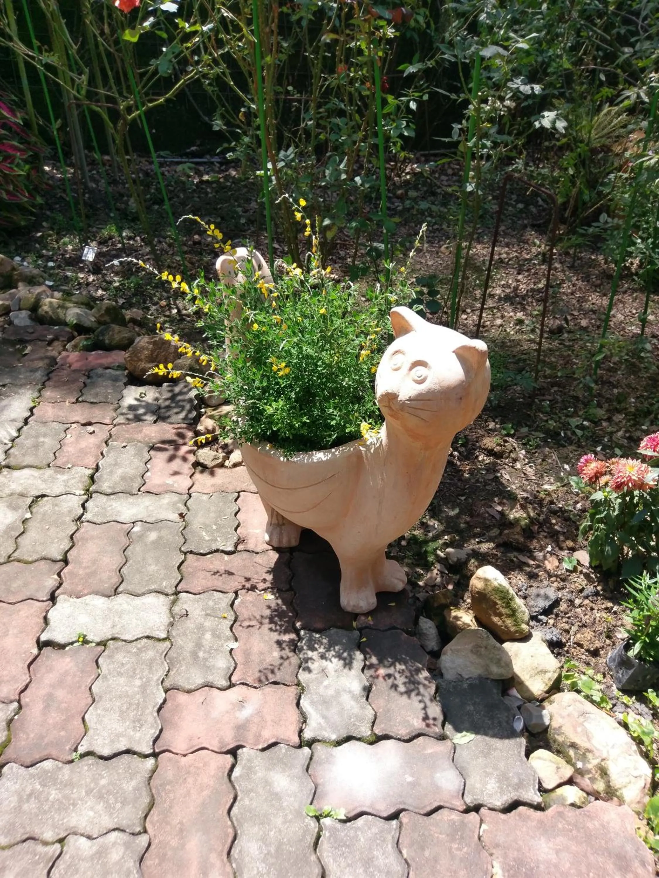 Garden in Bramasole B&B