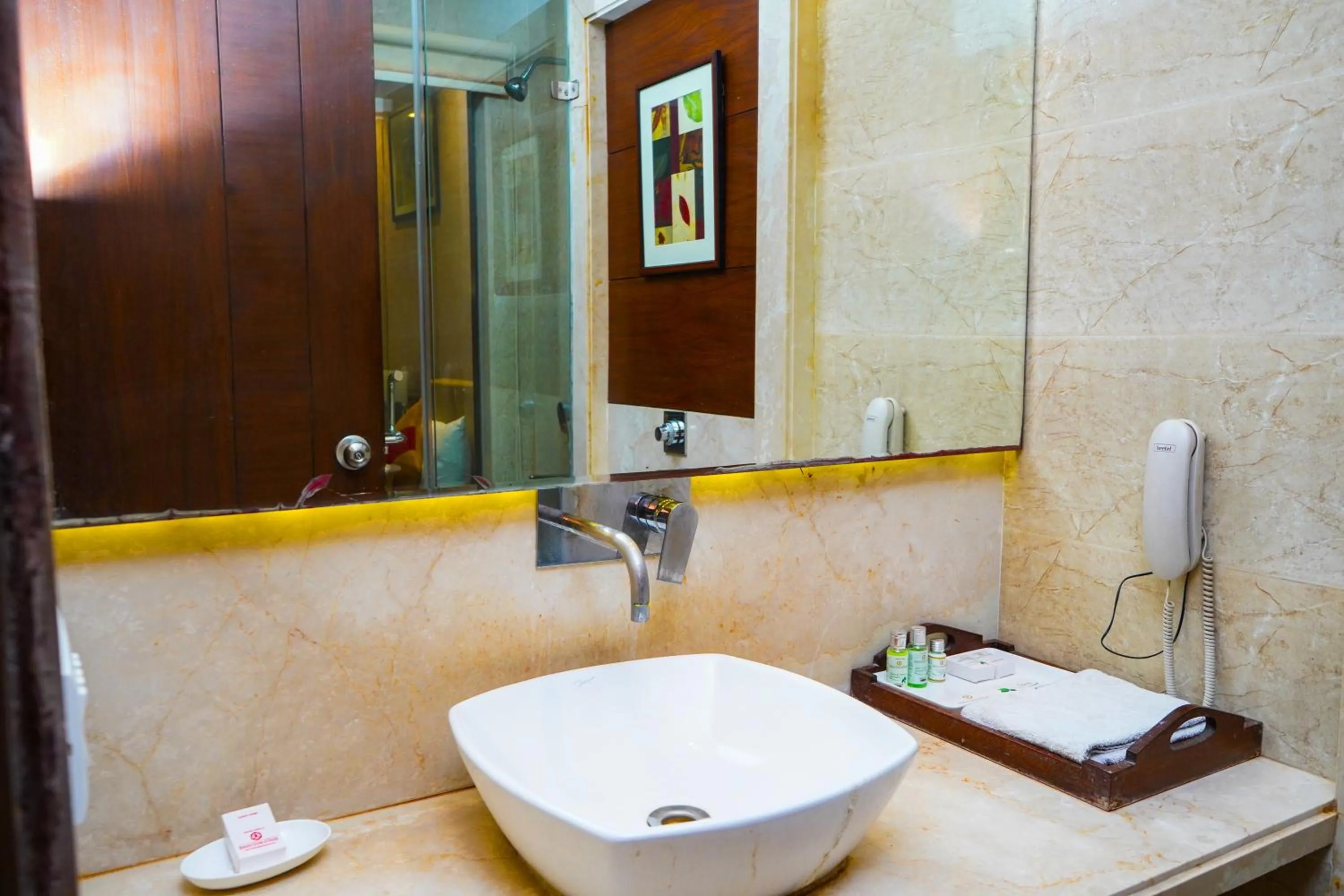 Bathroom in Hotel Gwalior Regency