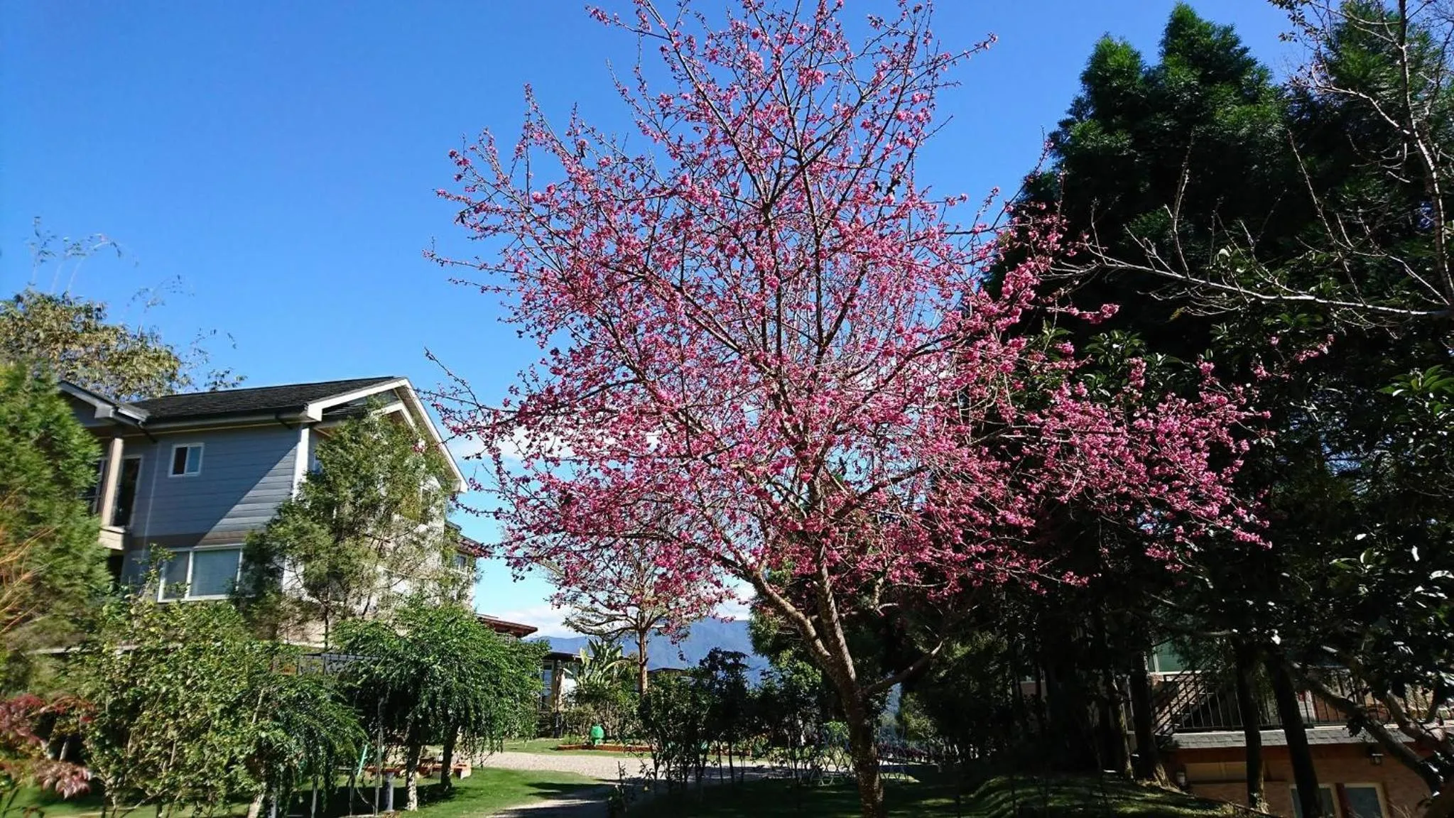 Spring in View on View B&B