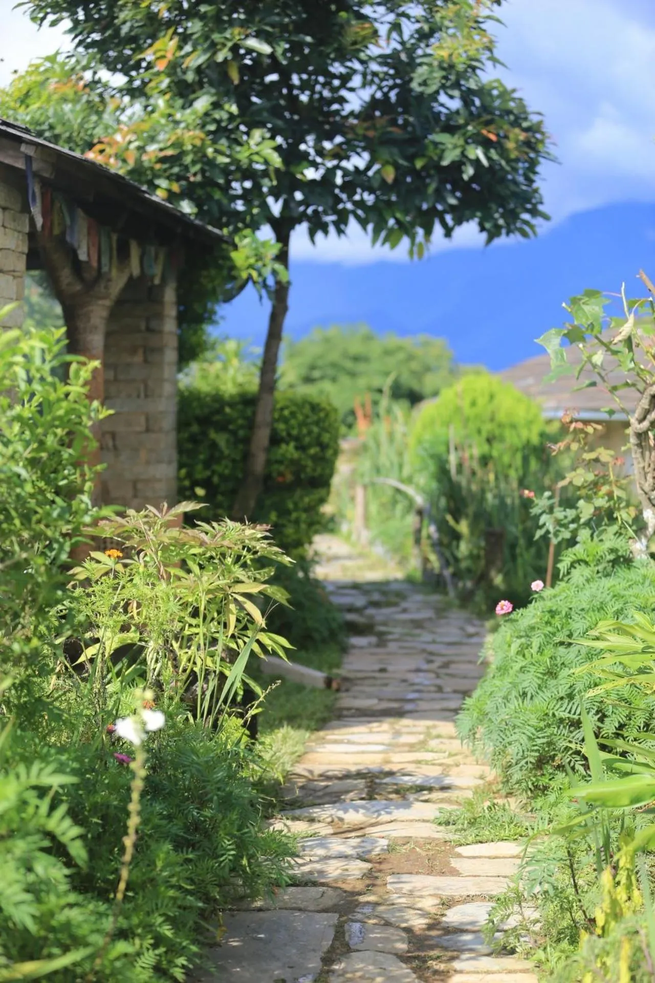 Garden in Annapurna Eco Village