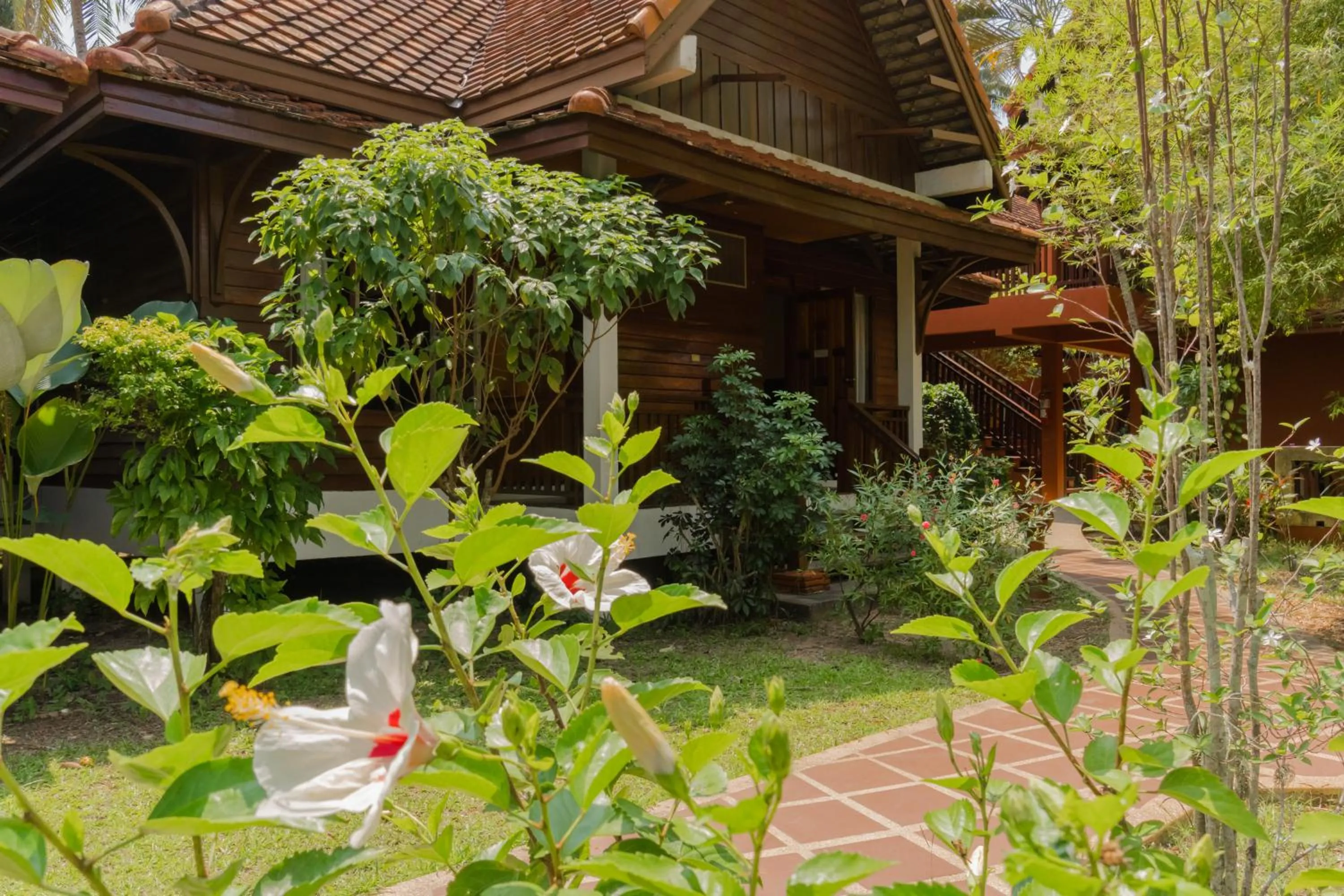 Garden view in Coral Hotel Bangsaphan