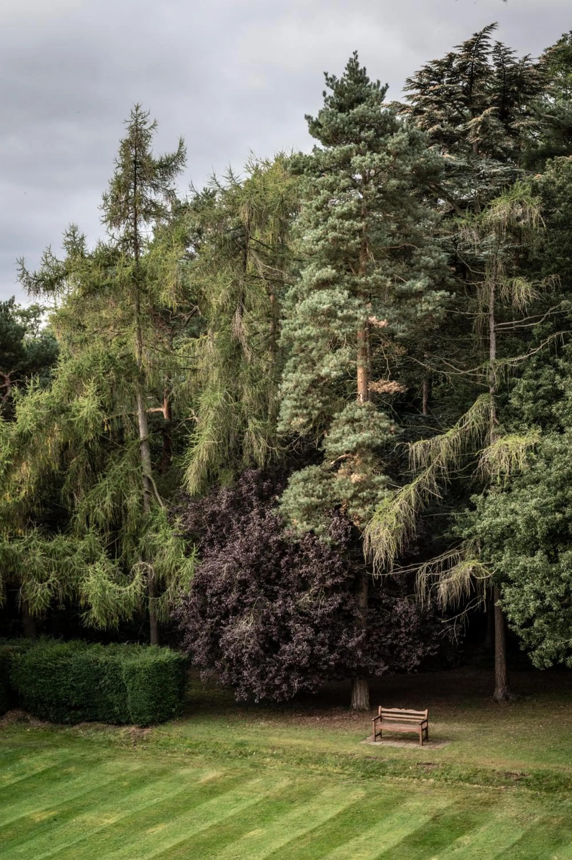 Natural landscape in Crathorne Hall