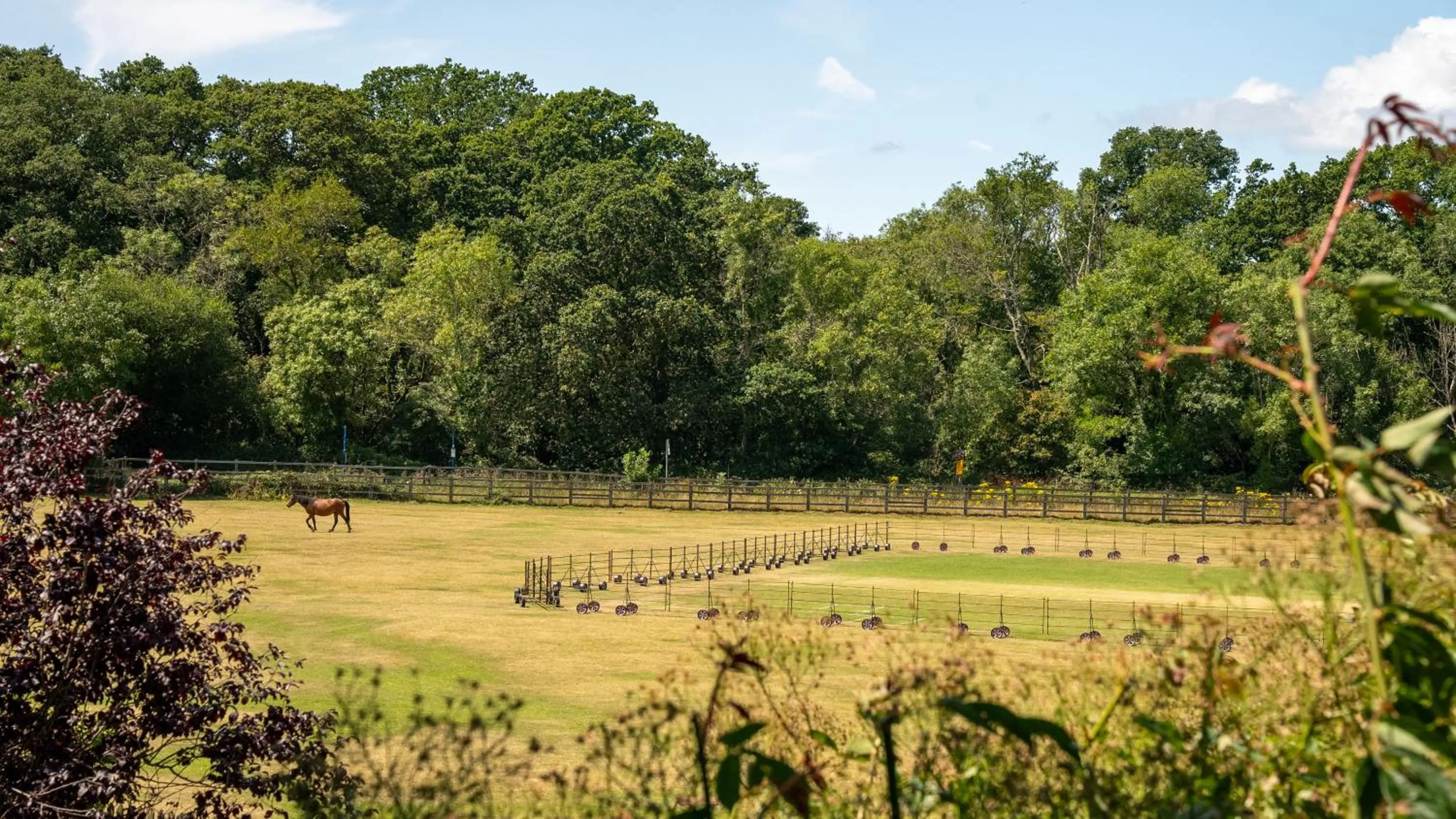 Spring in Balmer Lawn