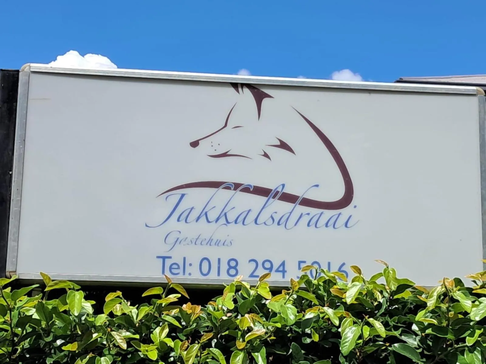 View (from property/room) in Jakkalsdraai Guest House