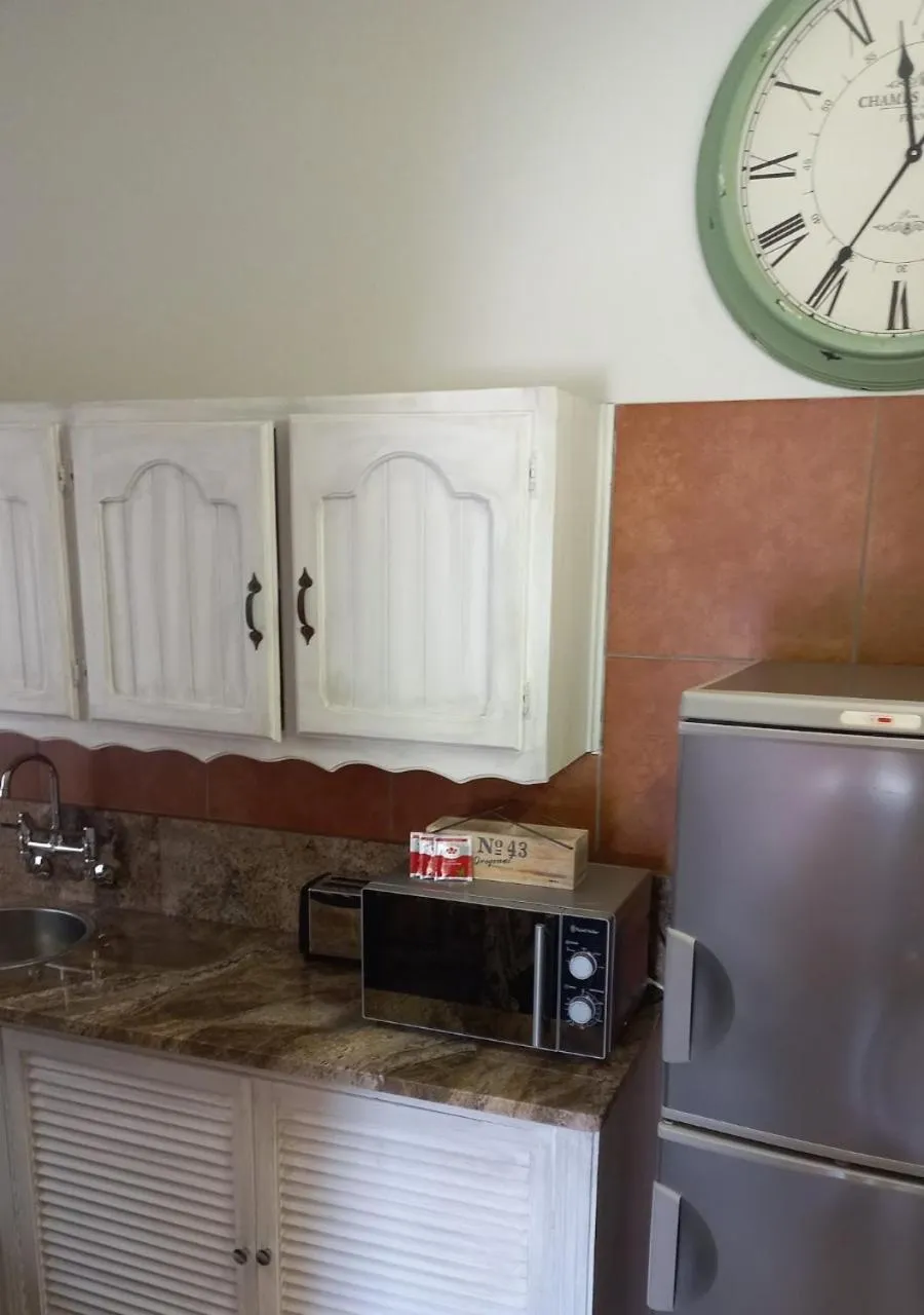 Kitchen or kitchenette in Jakkalsdraai Guest House