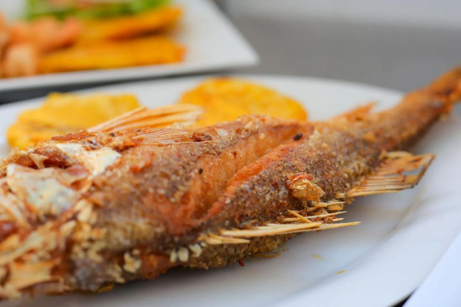 Restaurant/places to eat in Awa De Mar Hotel Tolu