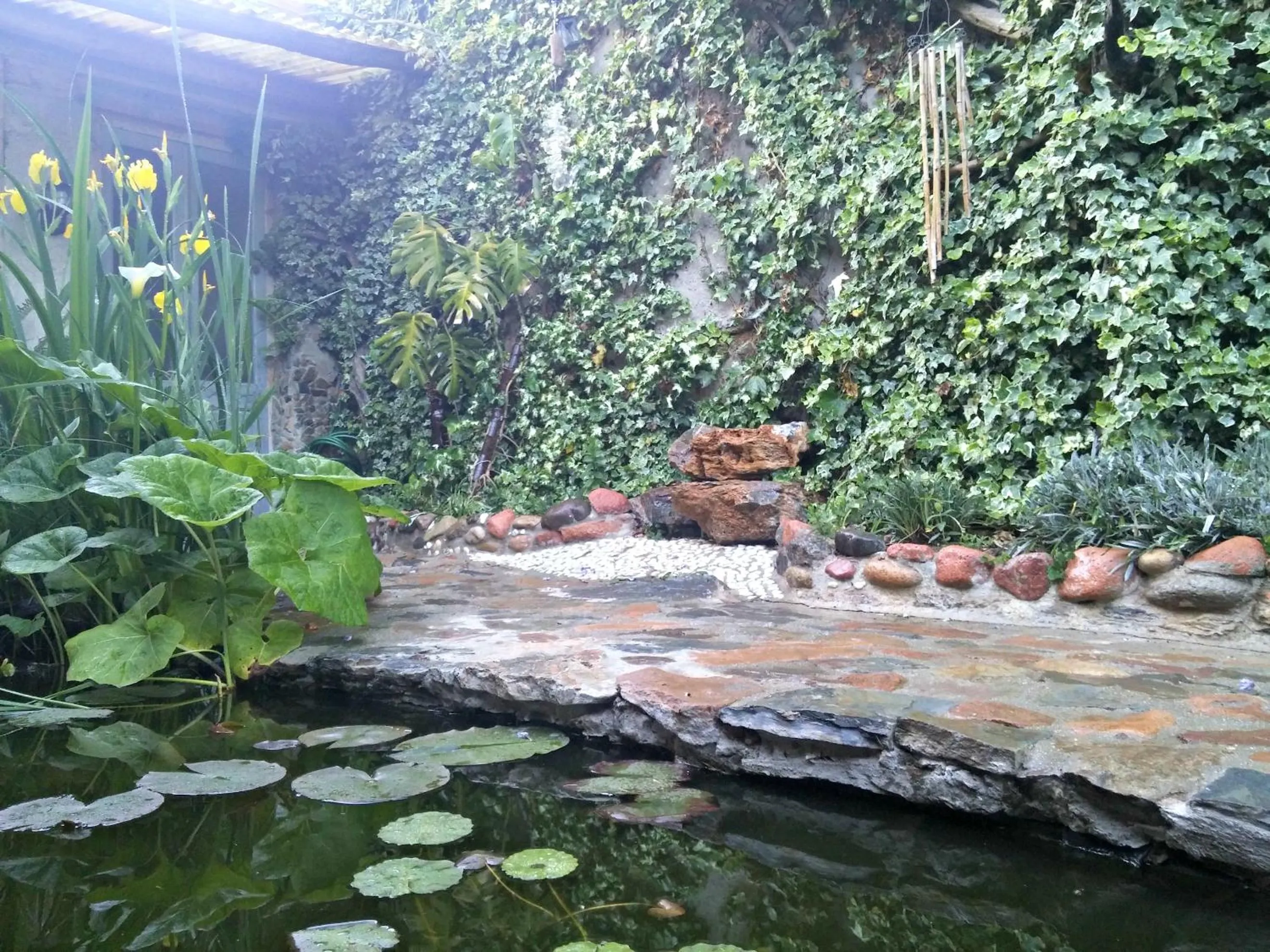 Garden in Zia Chiarina