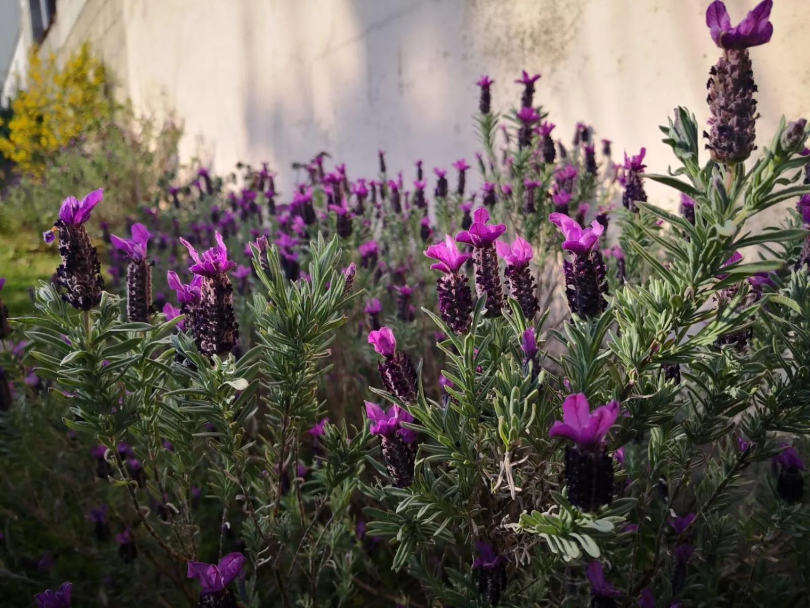 Natural landscape in Zia Chiarina