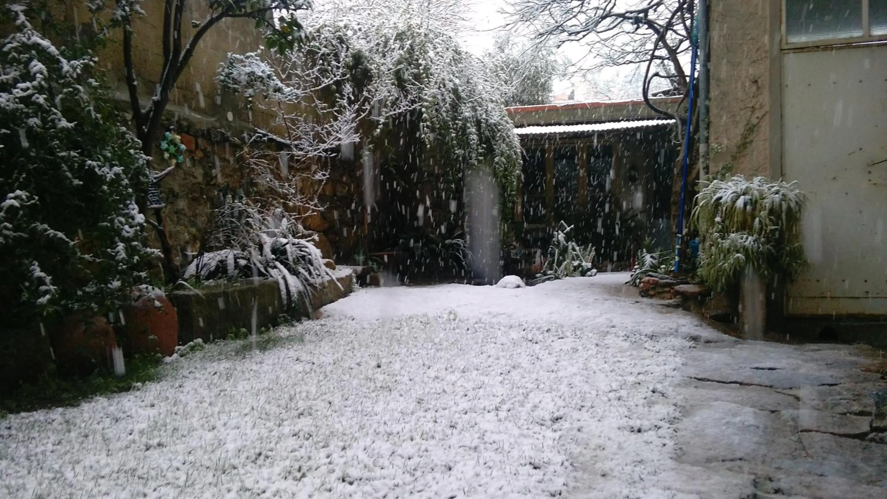Garden in Zia Chiarina