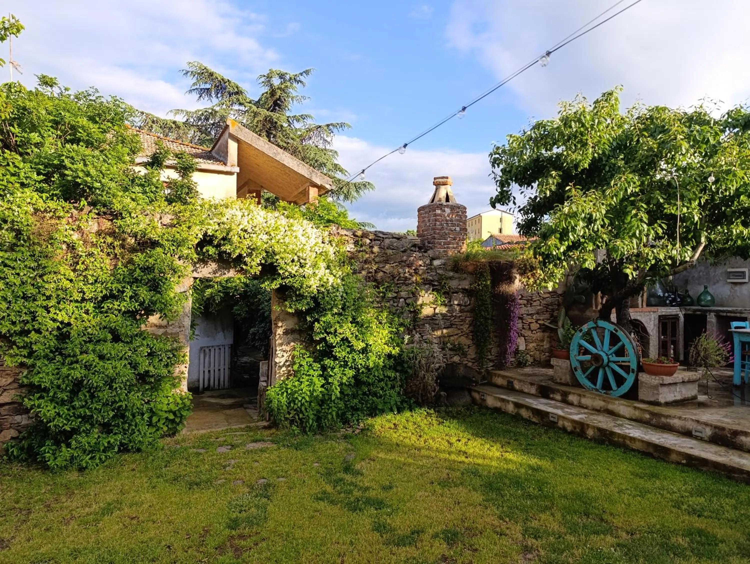Garden in Zia Chiarina