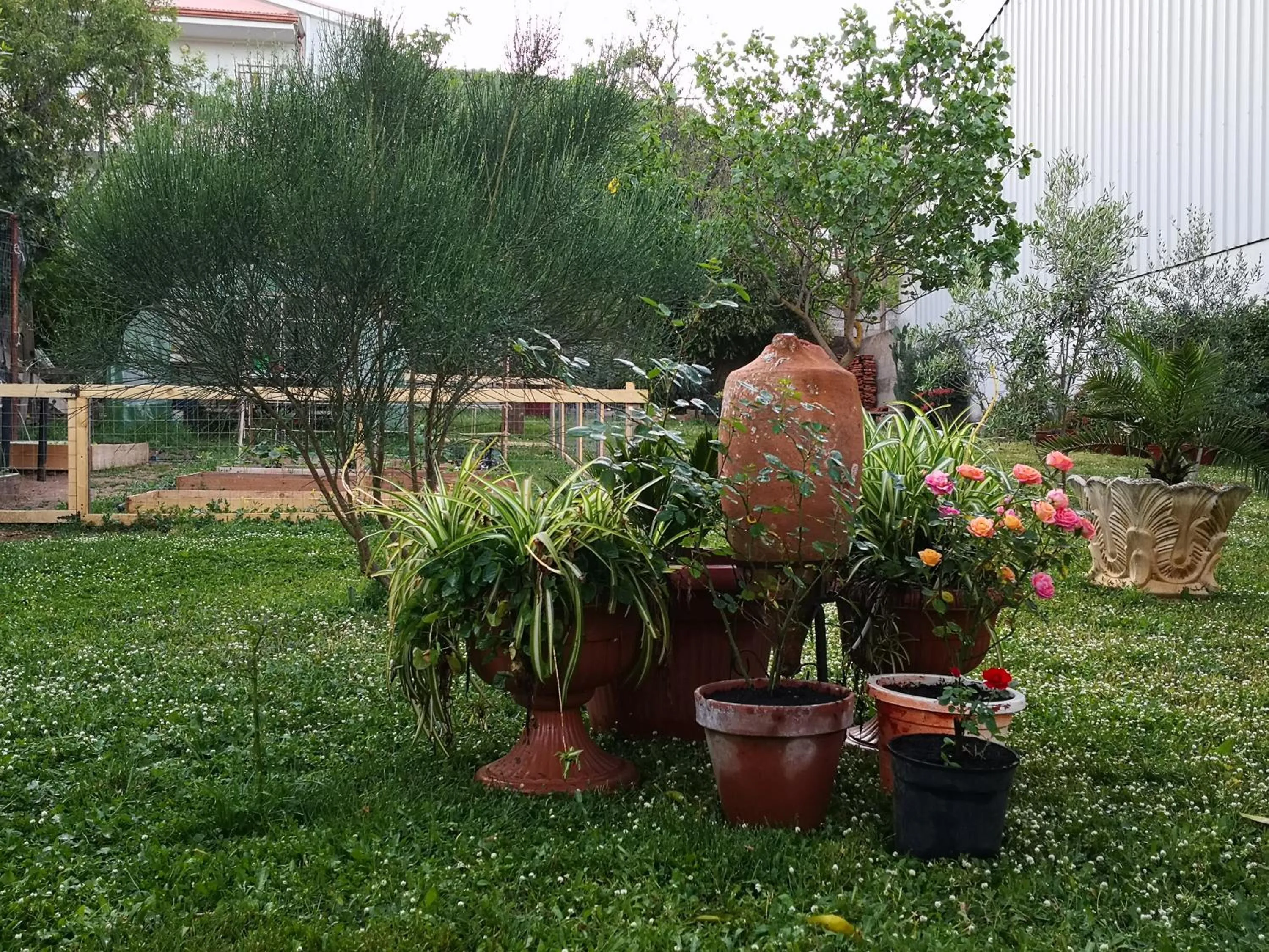 Garden view in Zia Chiarina