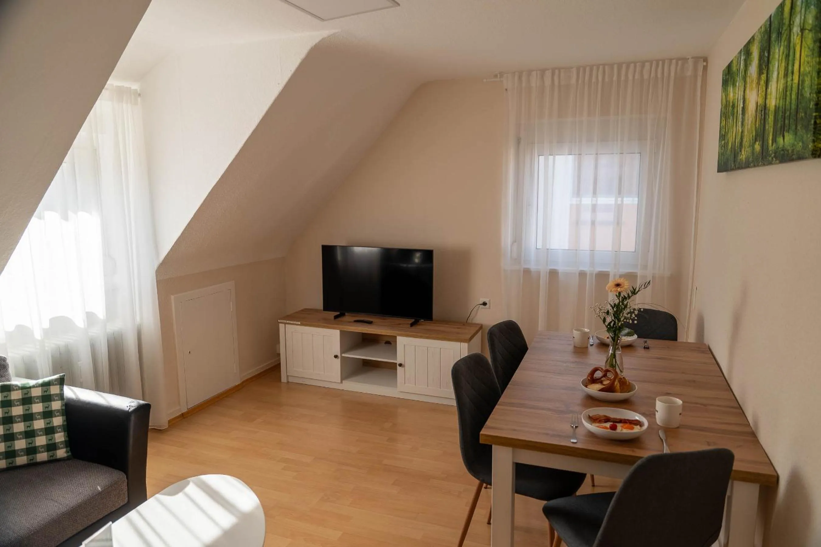 TV and multimedia in Hotel & Restaurant Zum Reussenstein