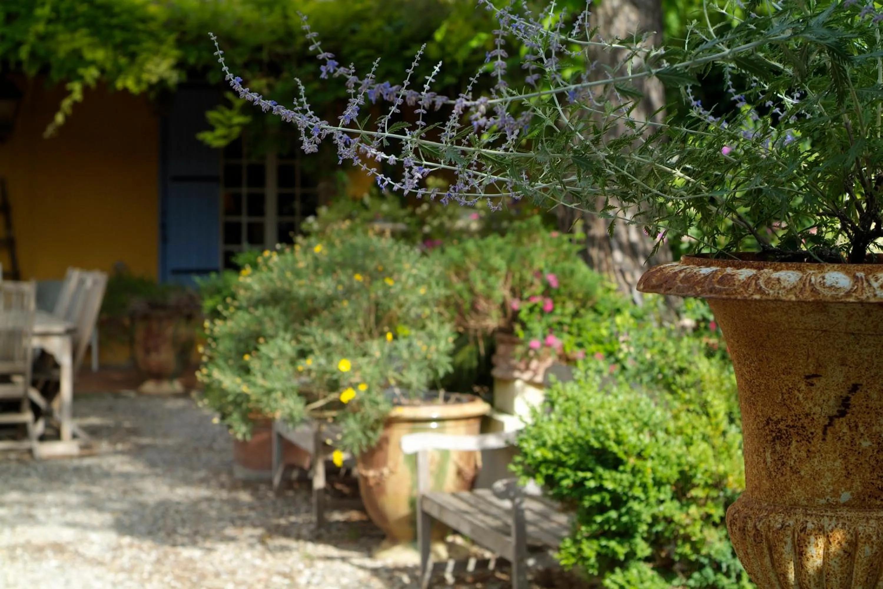 Garden in Mas de la Chapelle
