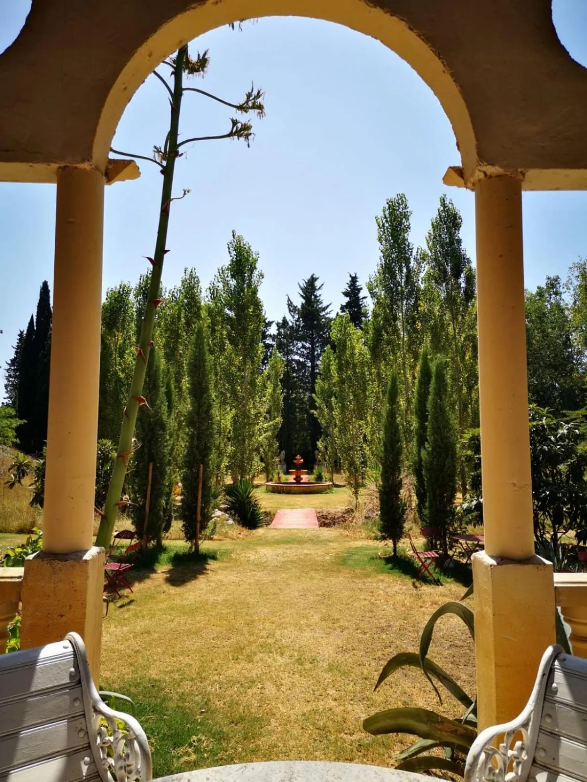 Garden in Mas de la Chapelle