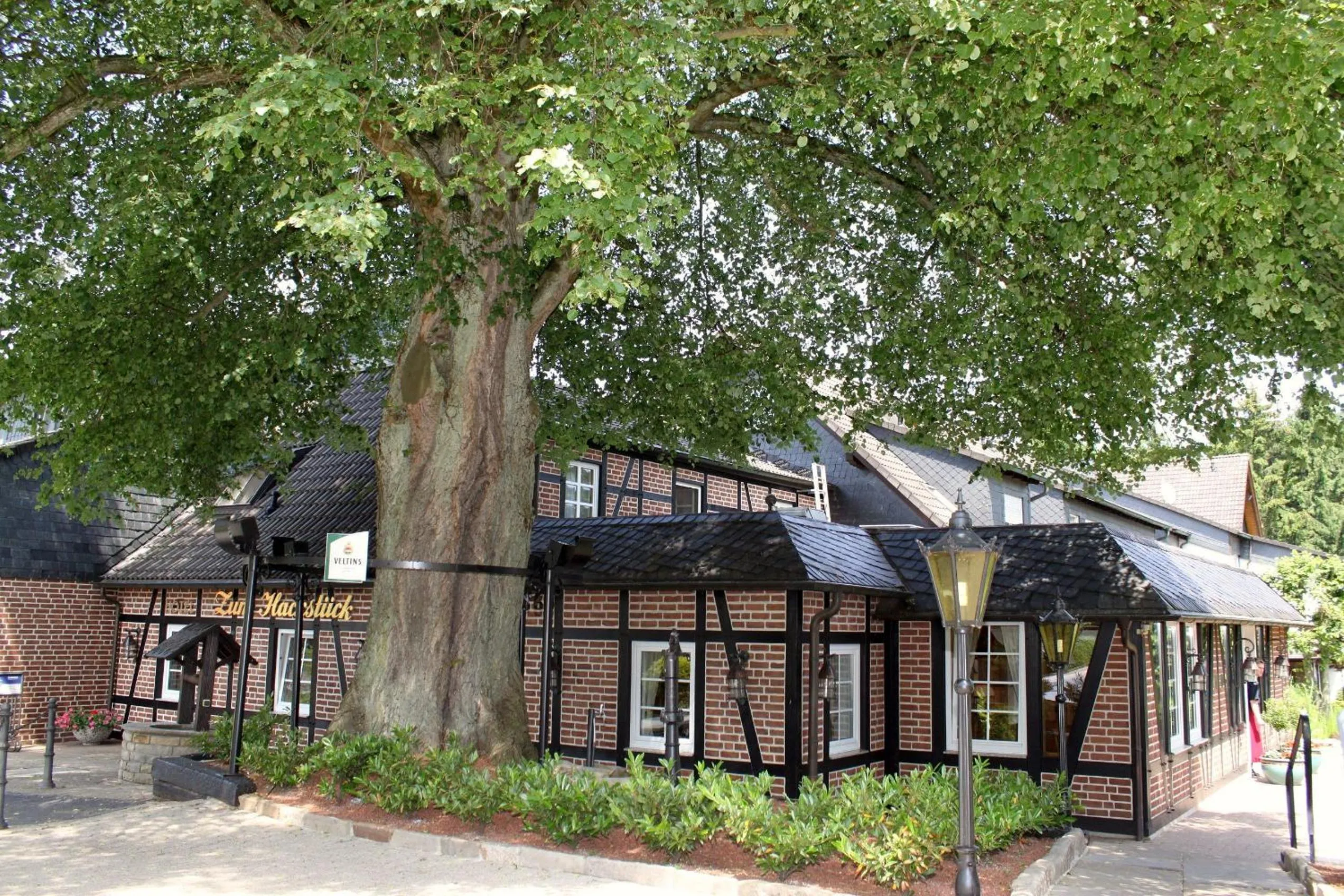 Facade/entrance in Hotel Zum Hackstück
