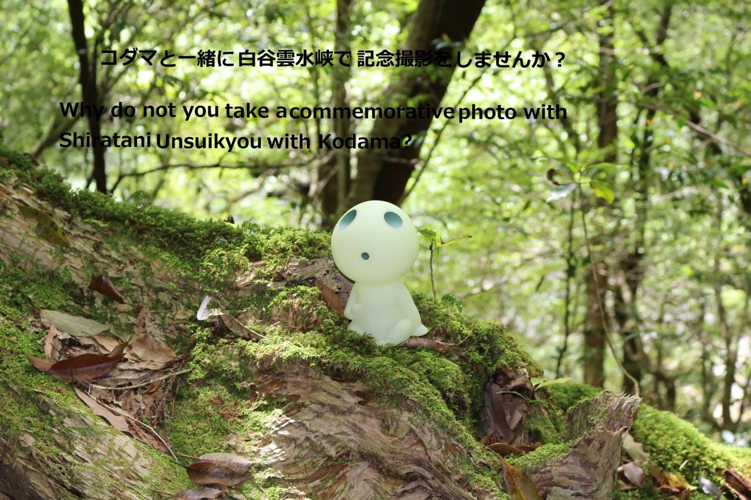 Nearby landmark in Cottage Yakusugi House