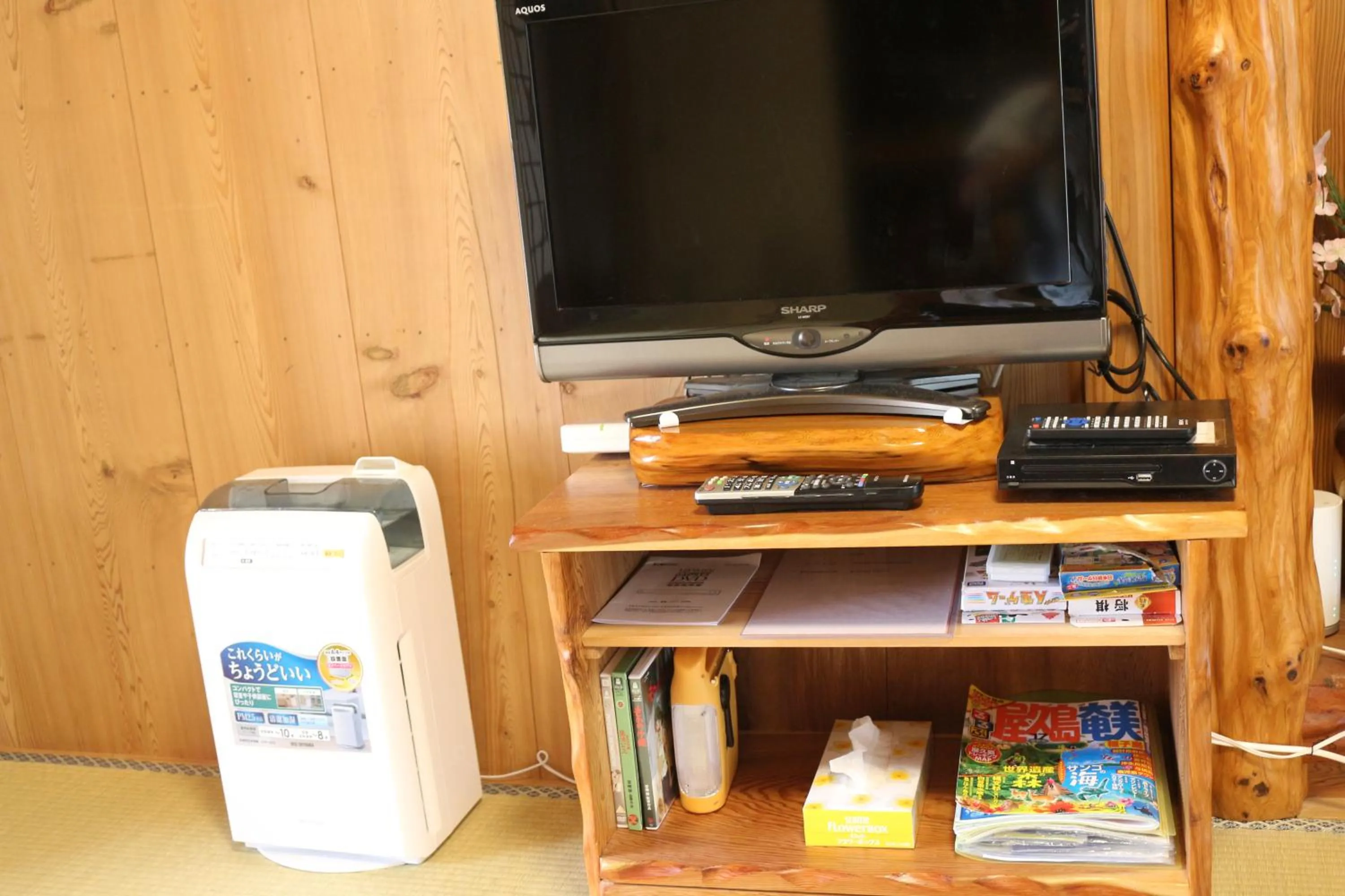 TV and multimedia in Cottage Yakusugi House