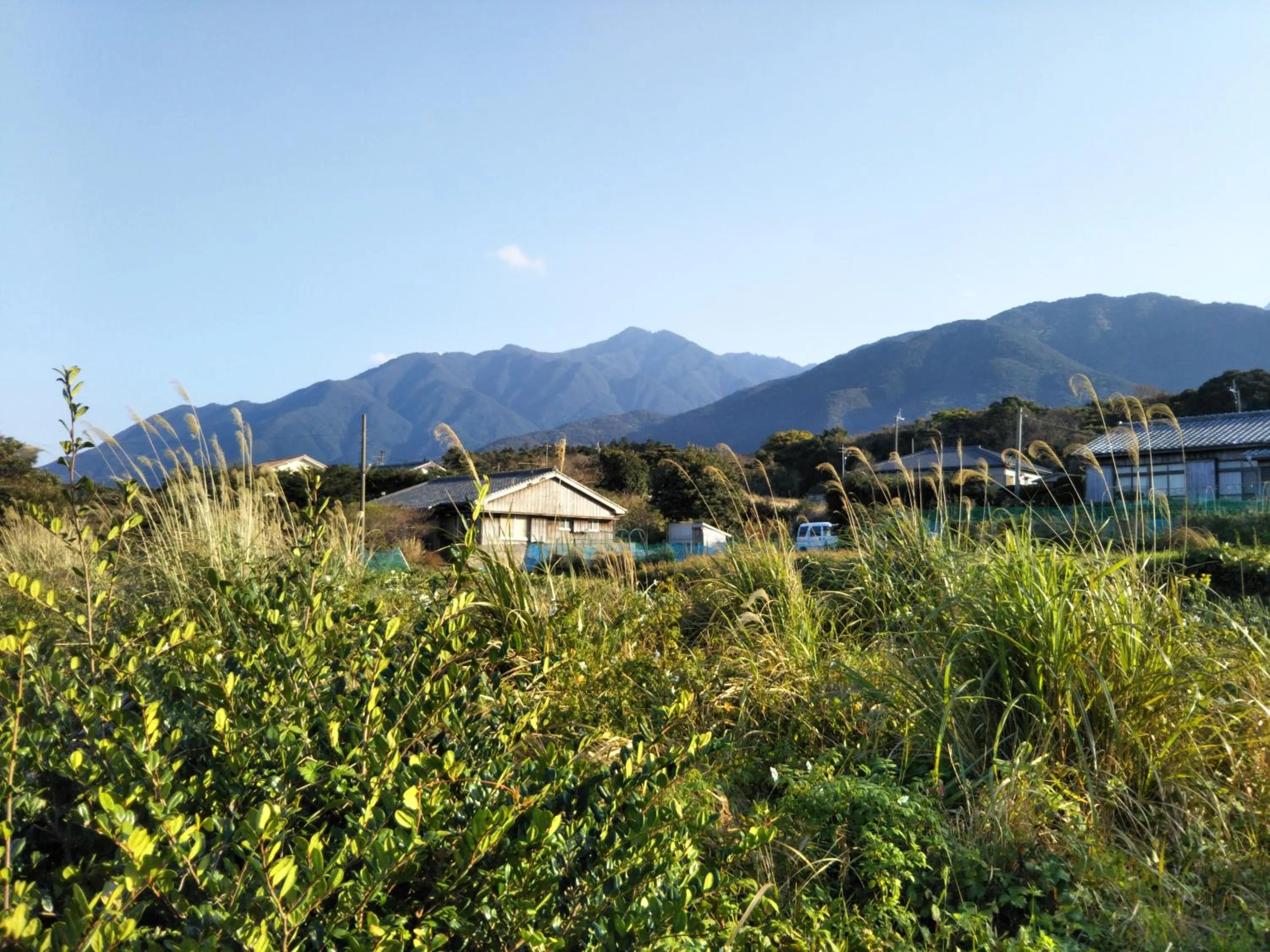 Off site in Cottage Yakusugi House