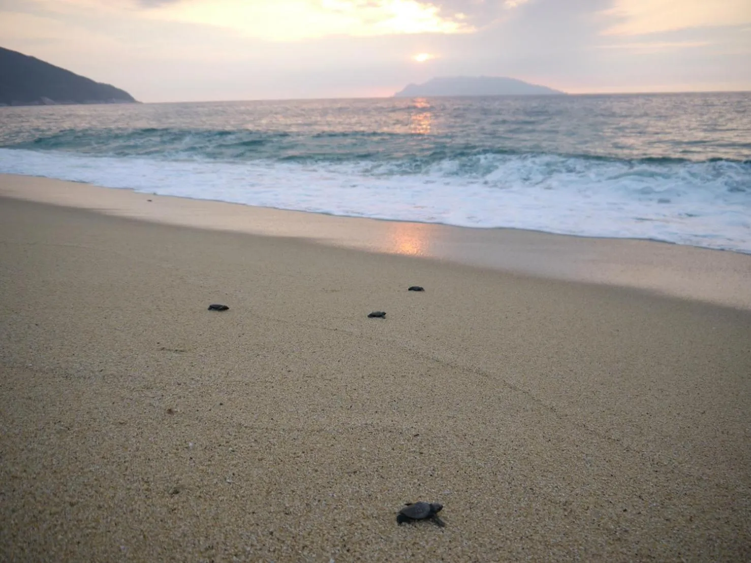 Natural landscape in Cottage Yakusugi House